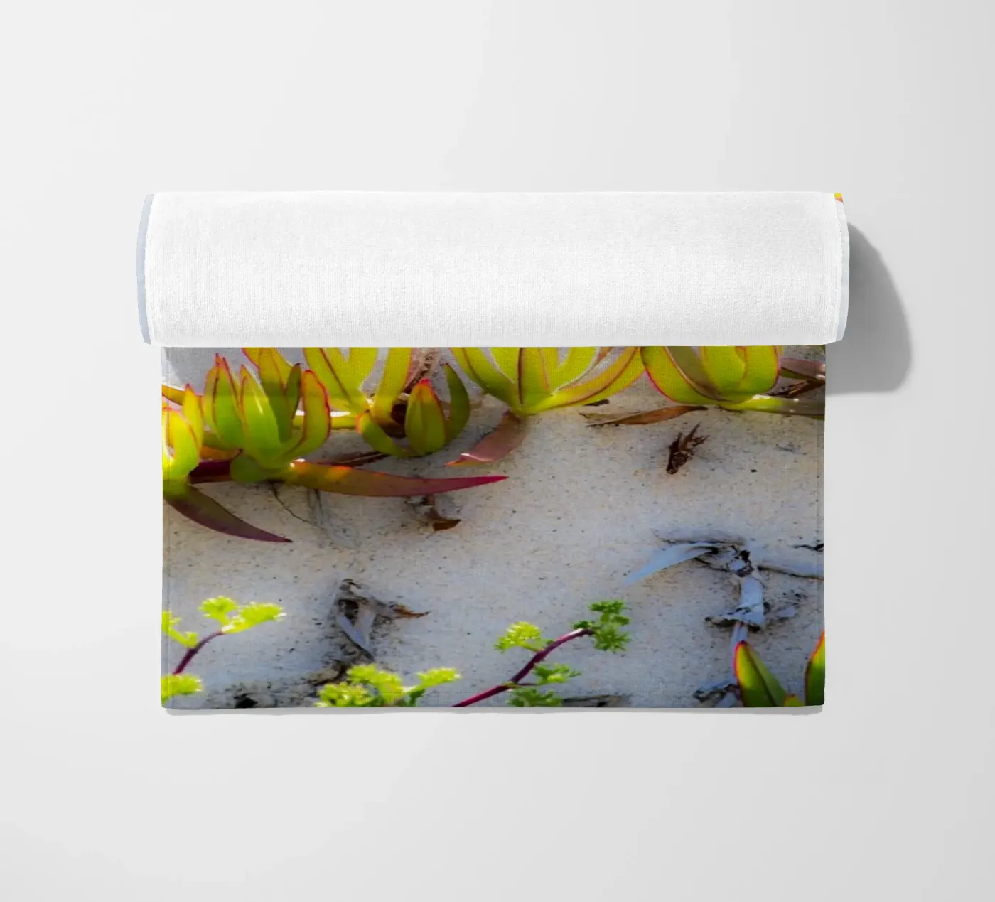 Dune telo mare da Teresa André