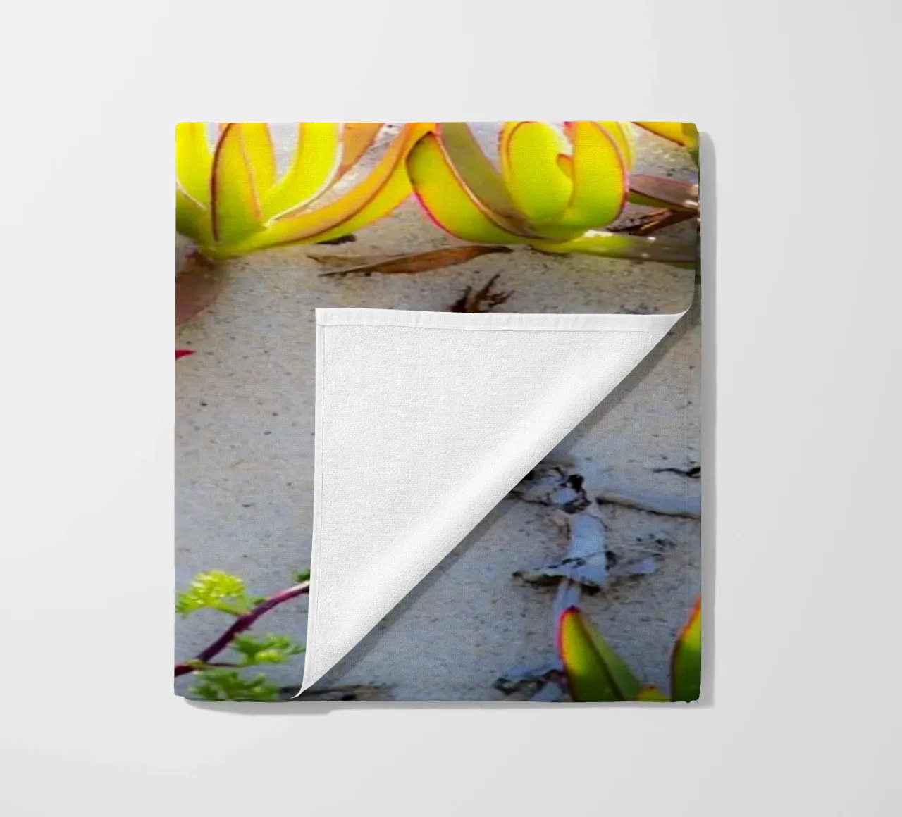 Dune telo mare da Teresa André