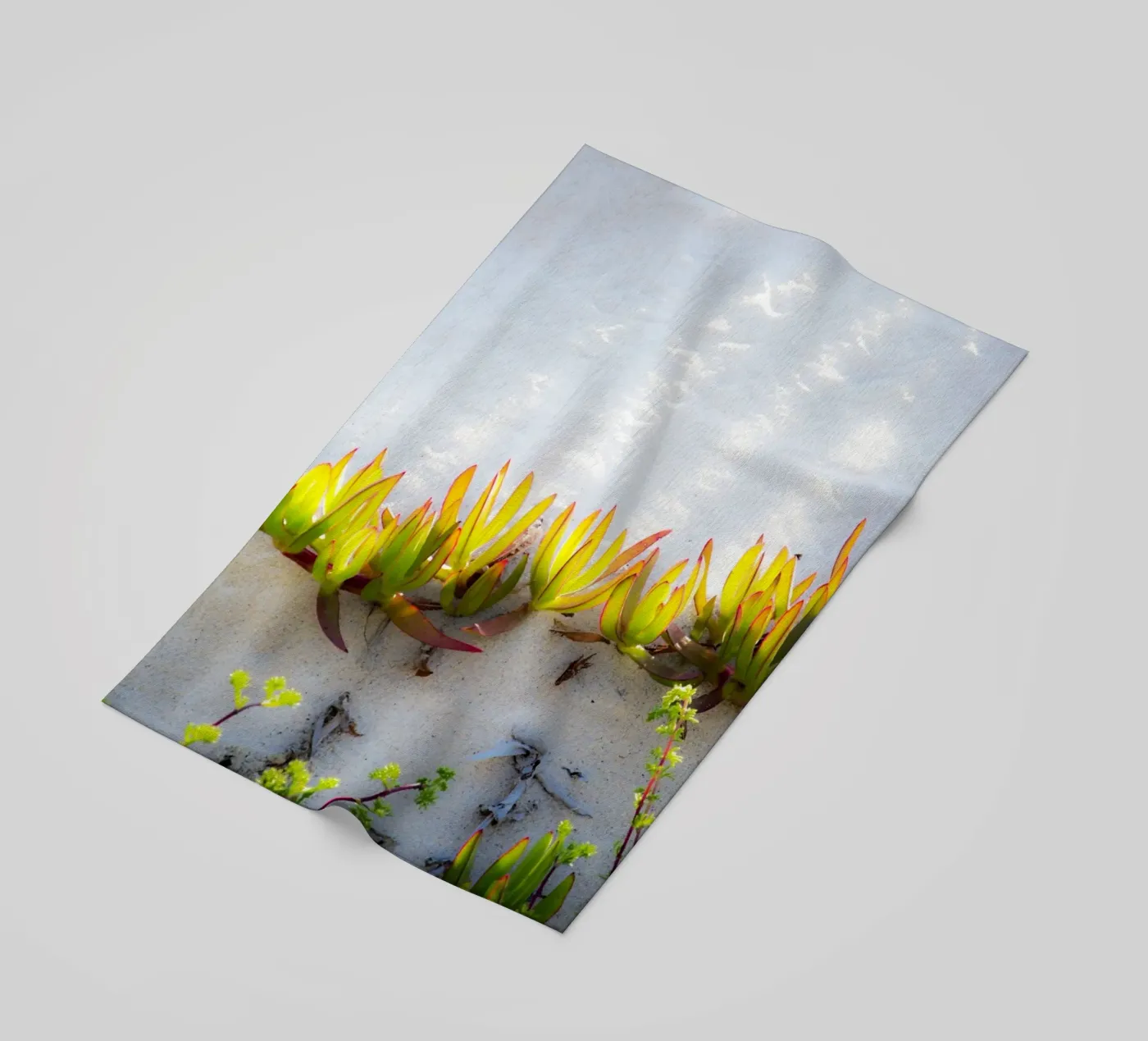 Dune telo mare da Teresa André