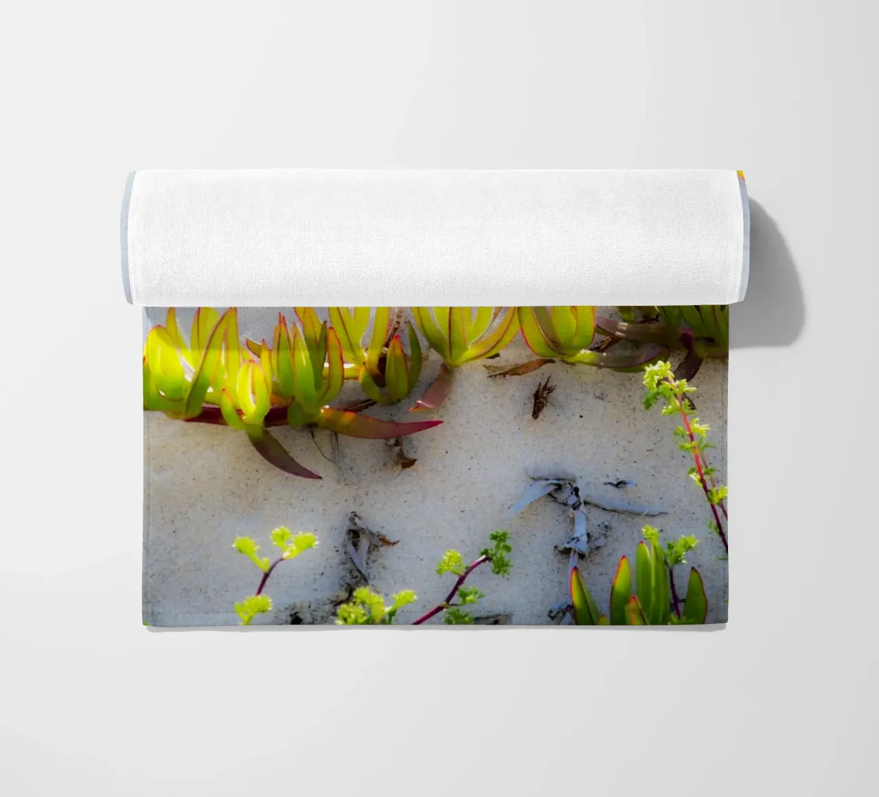 Dune telo mare da Teresa André