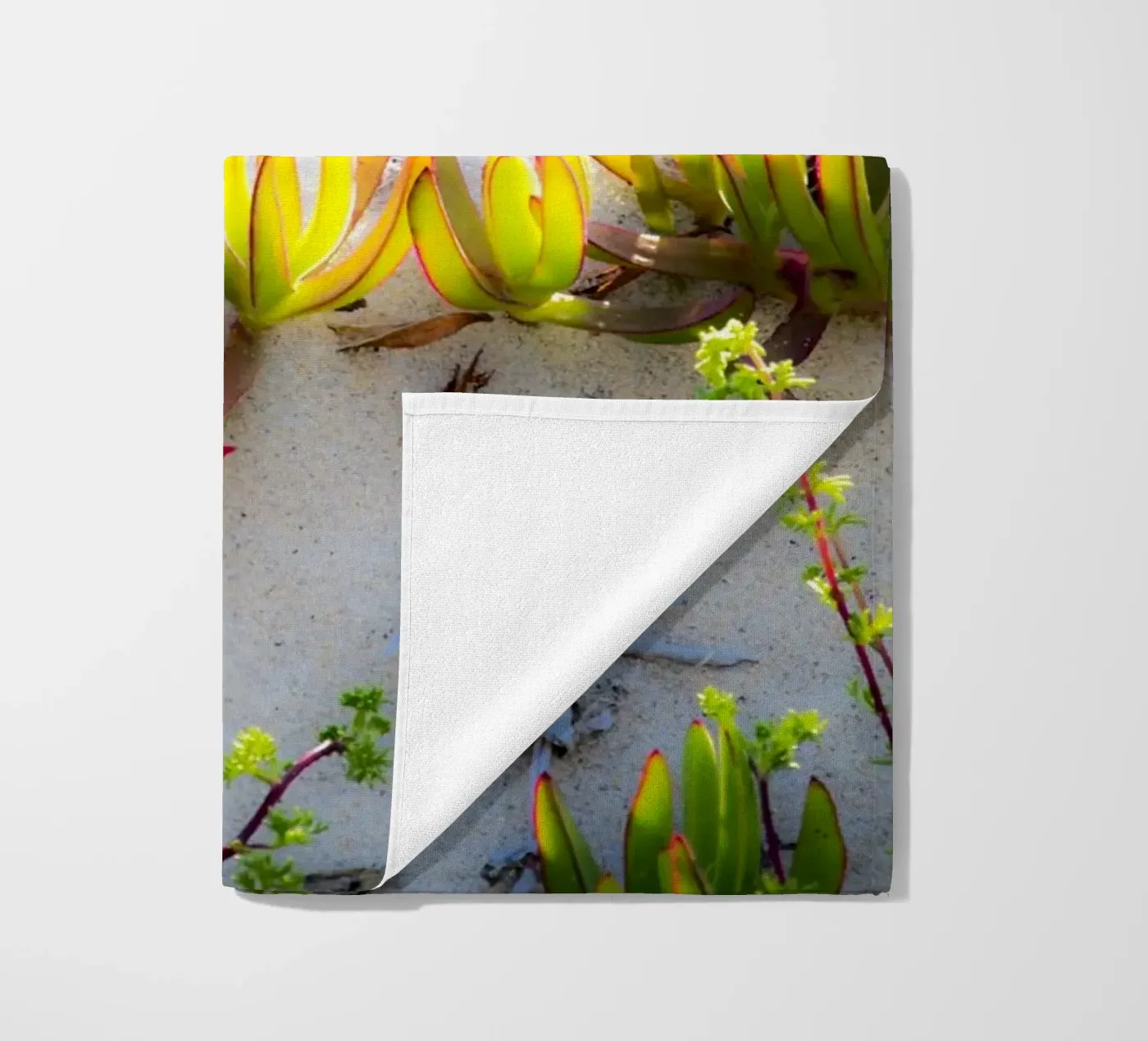 Dune telo mare da Teresa André