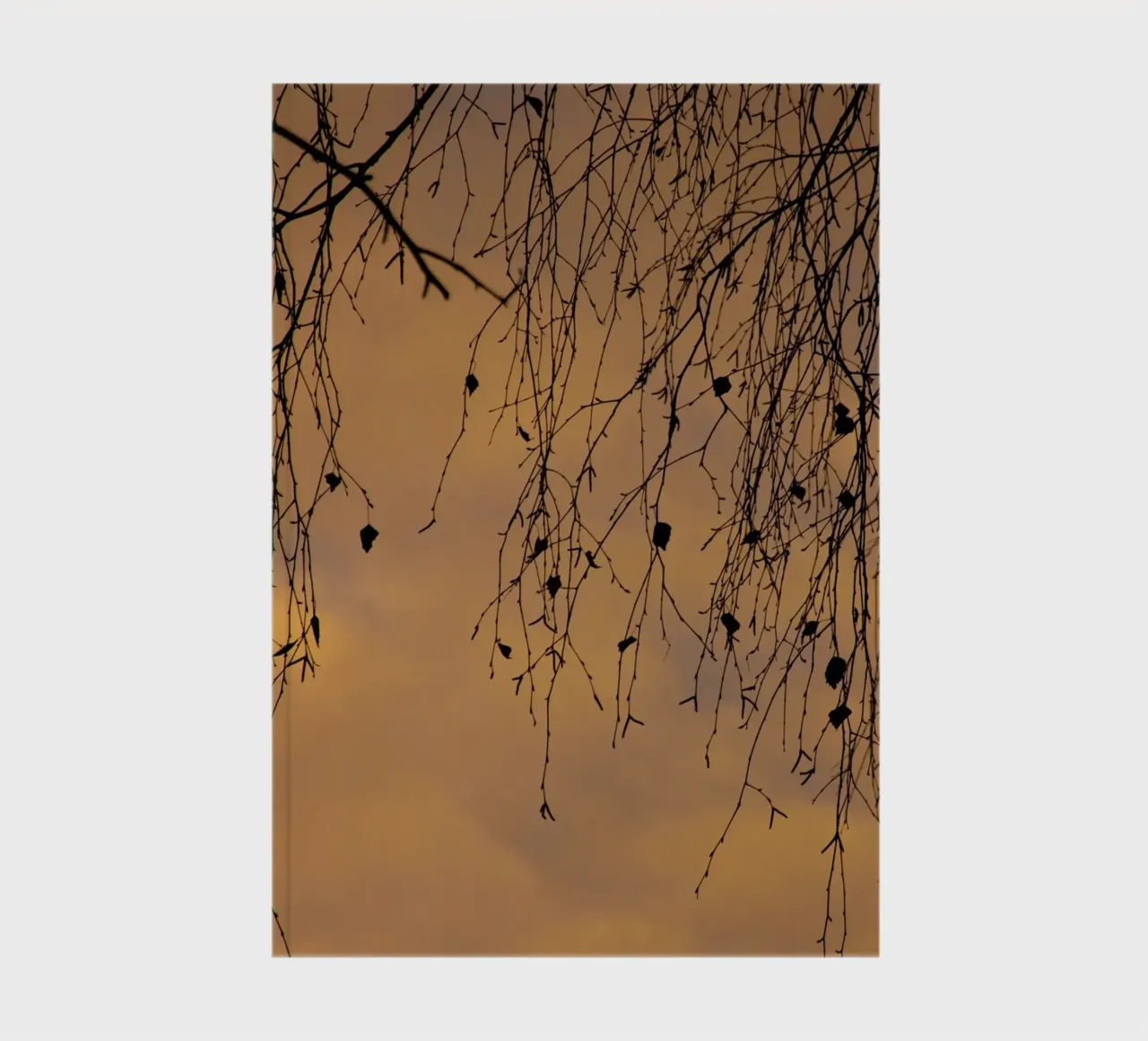 Sunny branches and cloudes notebook by Teresa André