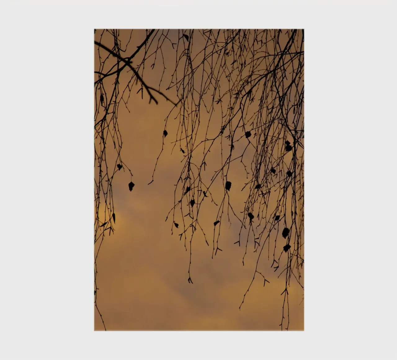 Sunny branches and cloudes notebook by Teresa André