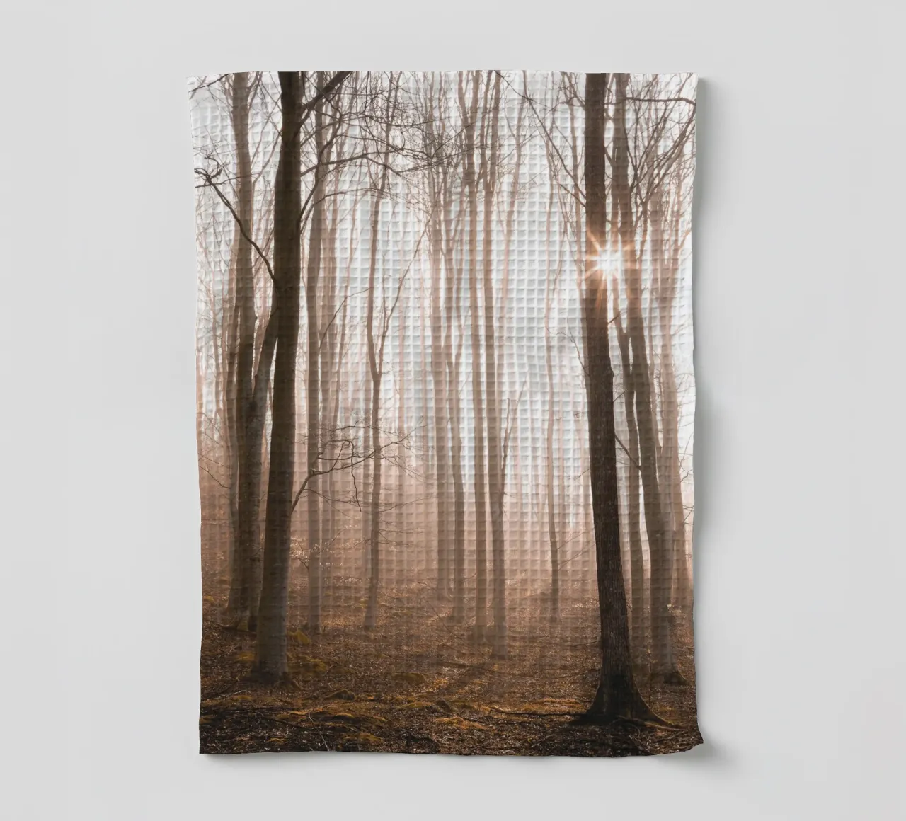 Forêt mystique à la lumière du matin - Nature Photographie Tableau mural torchon de Whole©