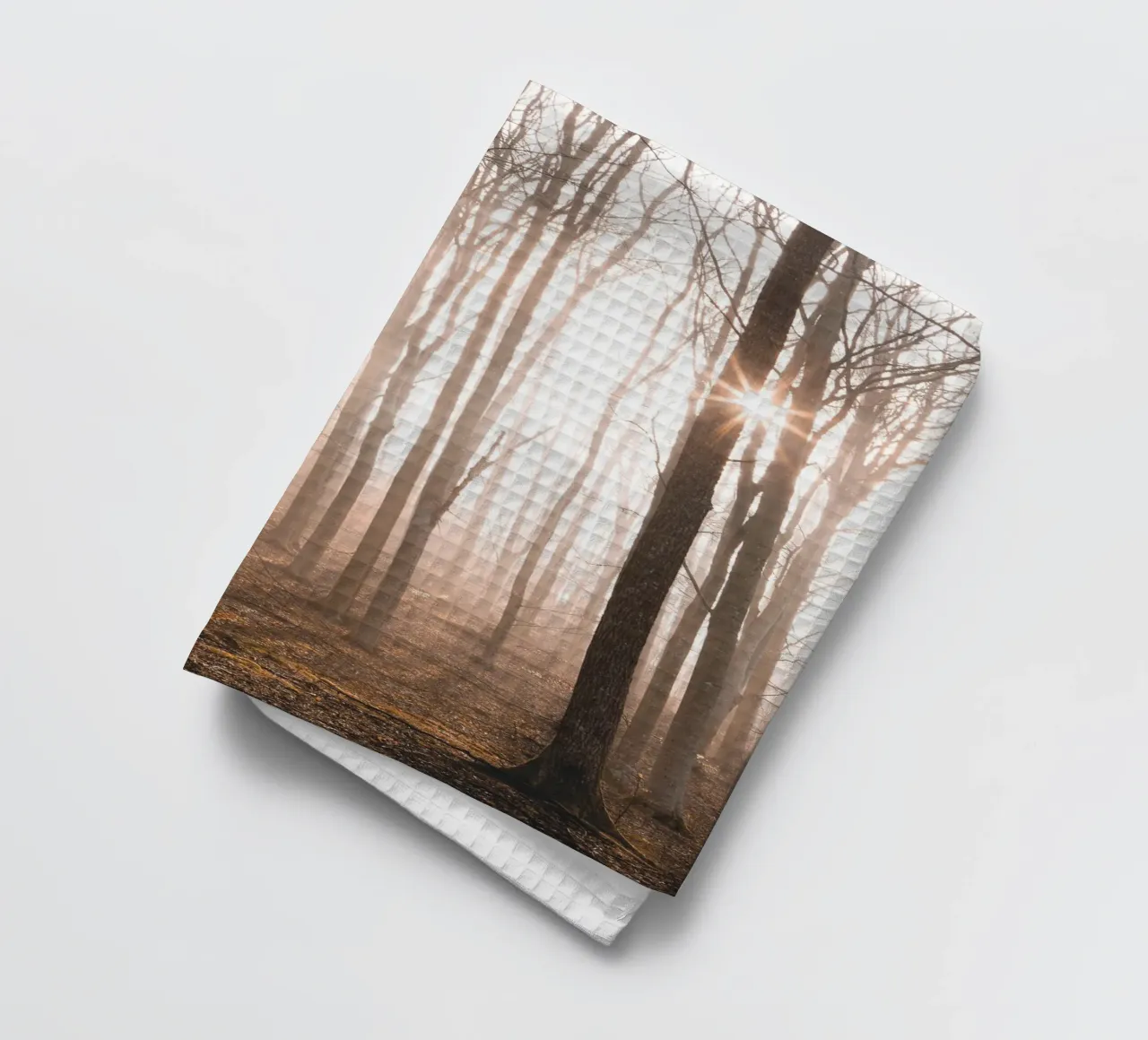Forêt mystique à la lumière du matin - Nature Photographie Tableau mural torchon de Whole©