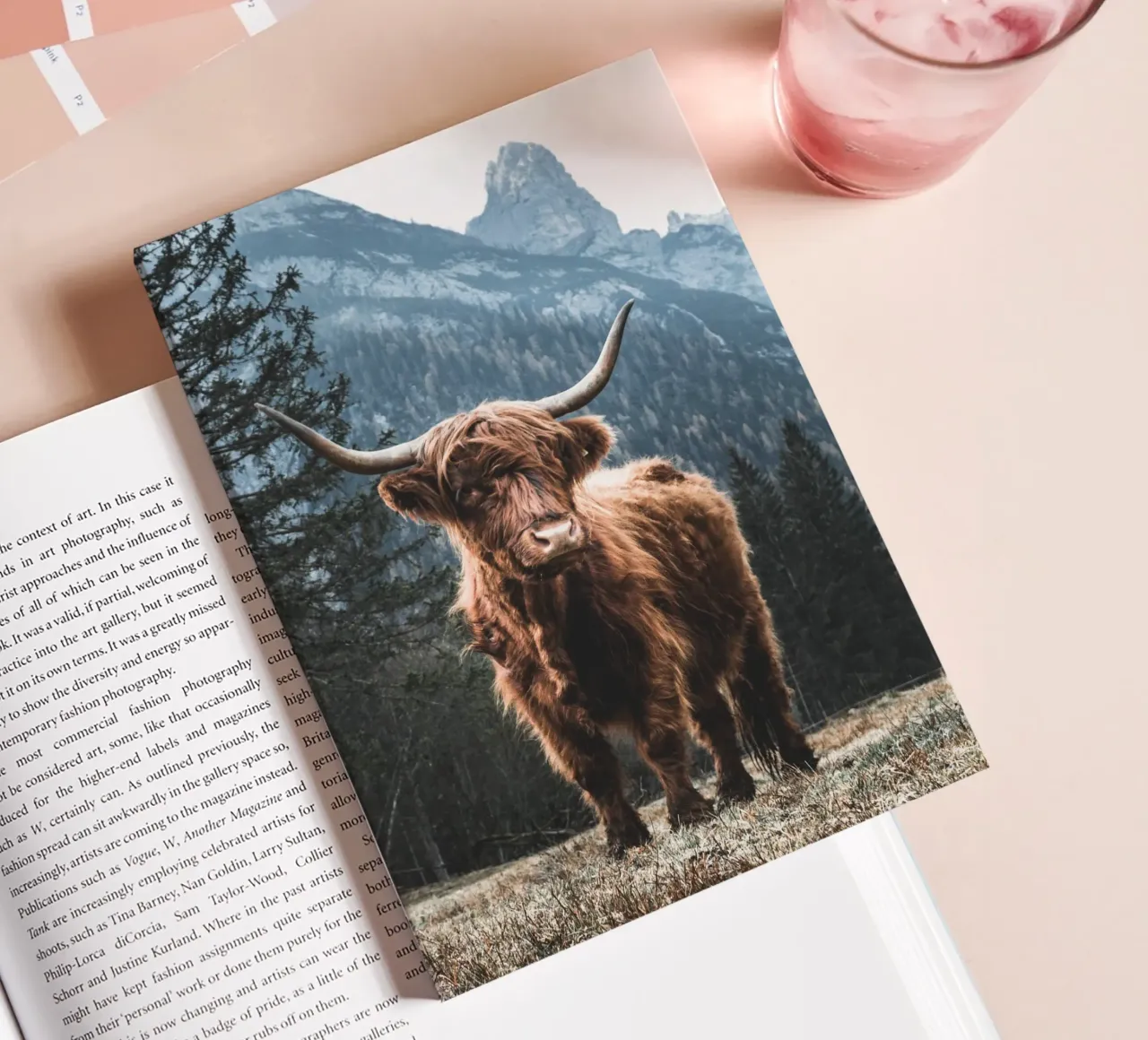 Highland cow in front of a mountain backdrop - Rustic nature photography notebook by Whole©
