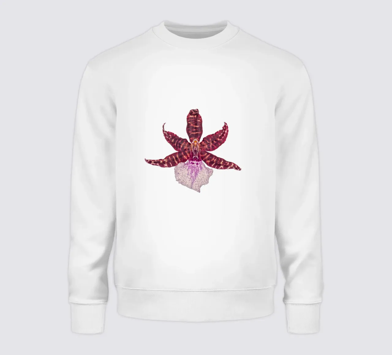 Bellezza squisita: Orchidea rossa felpa da Curious Collections by Marielle Leenders