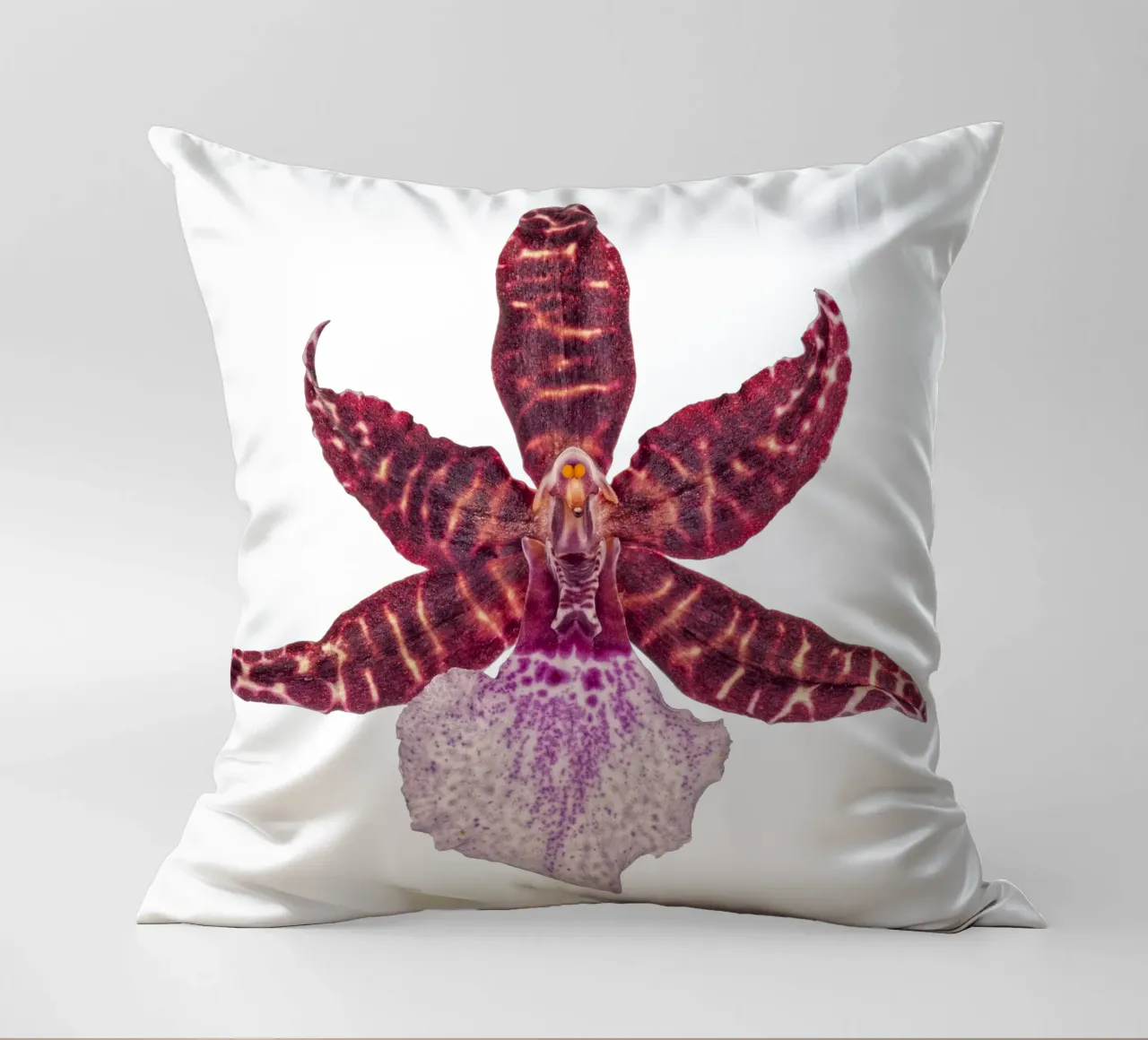 Bellezza squisita: Orchidea rossa cuscino da Curious Collections by Marielle Leenders