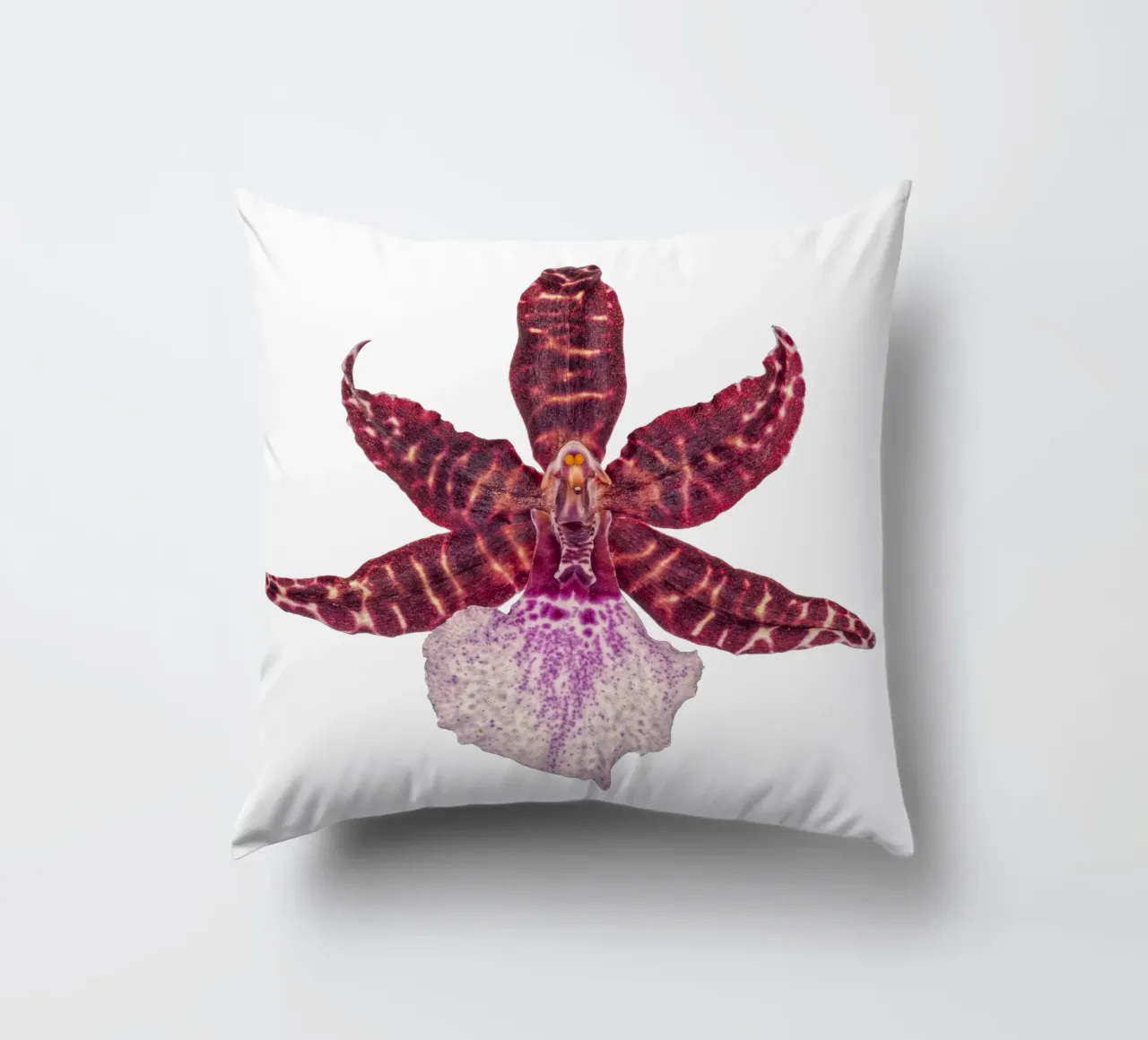 Bellezza squisita: Orchidea rossa cuscino da Curious Collections by Marielle Leenders