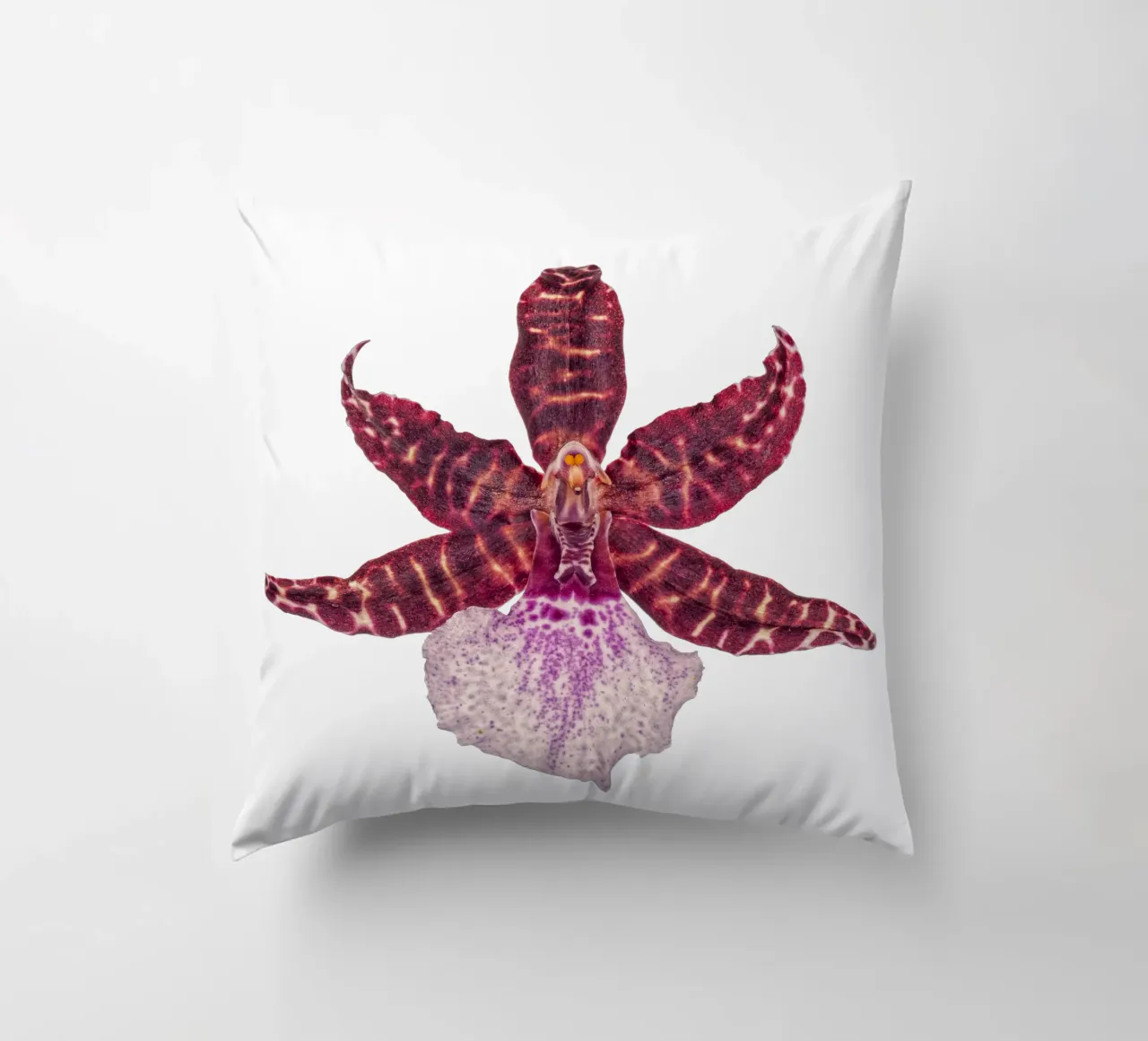 Bellezza squisita: Orchidea rossa cuscino da Curious Collections by Marielle Leenders