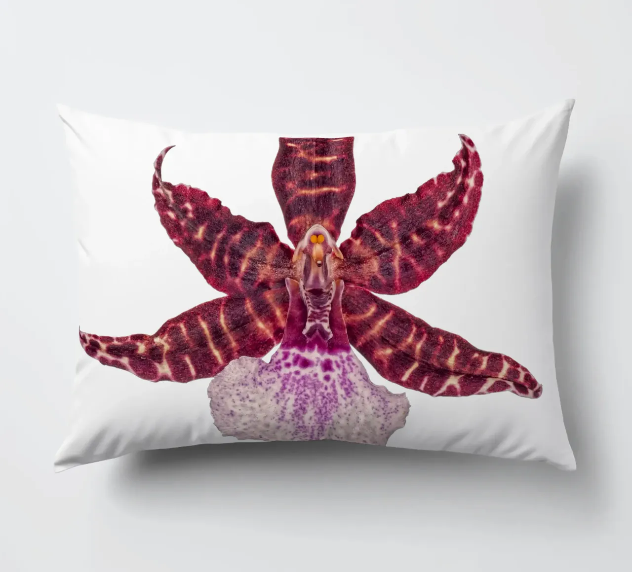Bellezza squisita: Orchidea rossa cuscino da Curious Collections by Marielle Leenders
