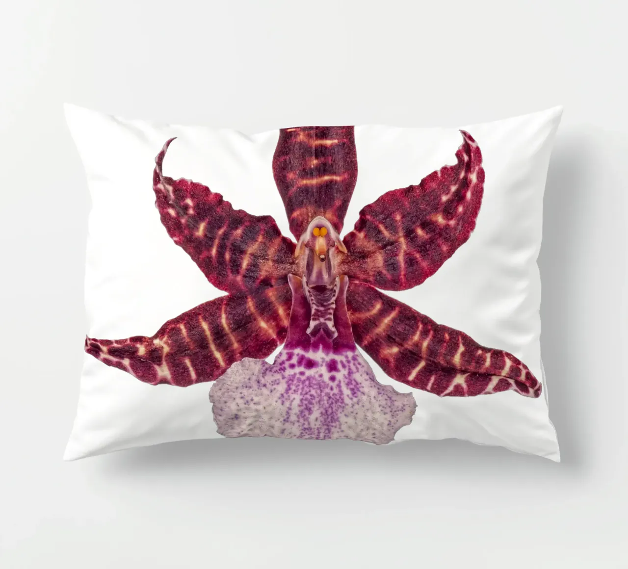 Bellezza squisita: Orchidea rossa cuscino da Curious Collections by Marielle Leenders