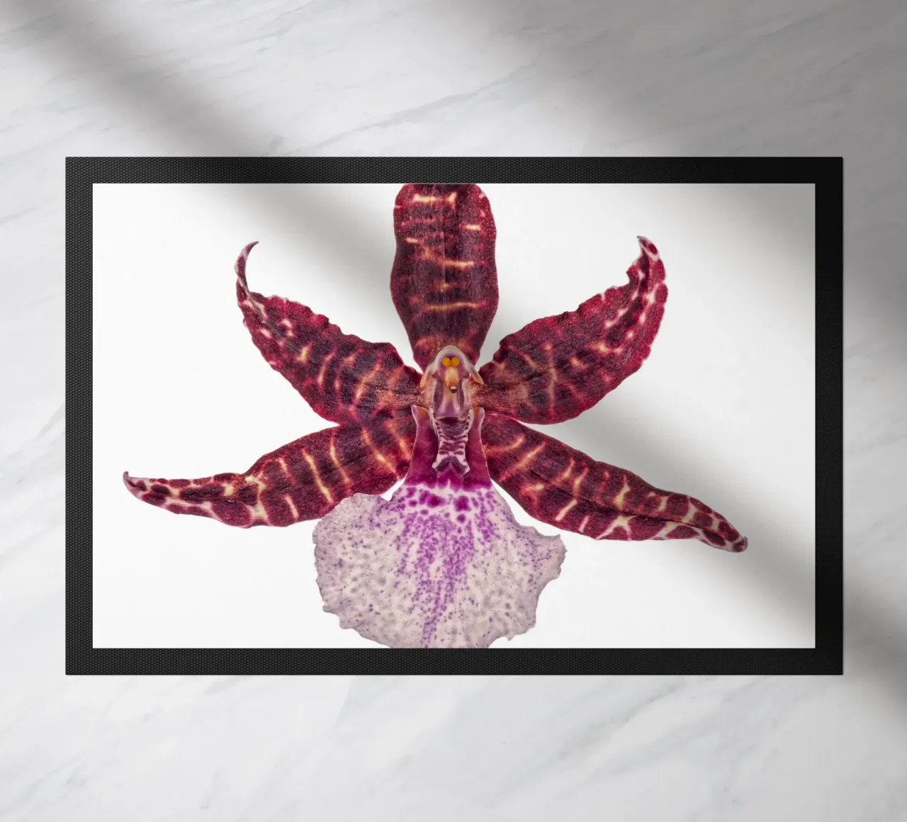 Bellezza squisita: Orchidea rossa zerbino da Curious Collections by Marielle Leenders