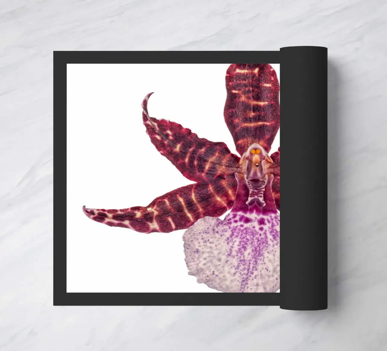Bellezza squisita: Orchidea rossa zerbino da Curious Collections by Marielle Leenders