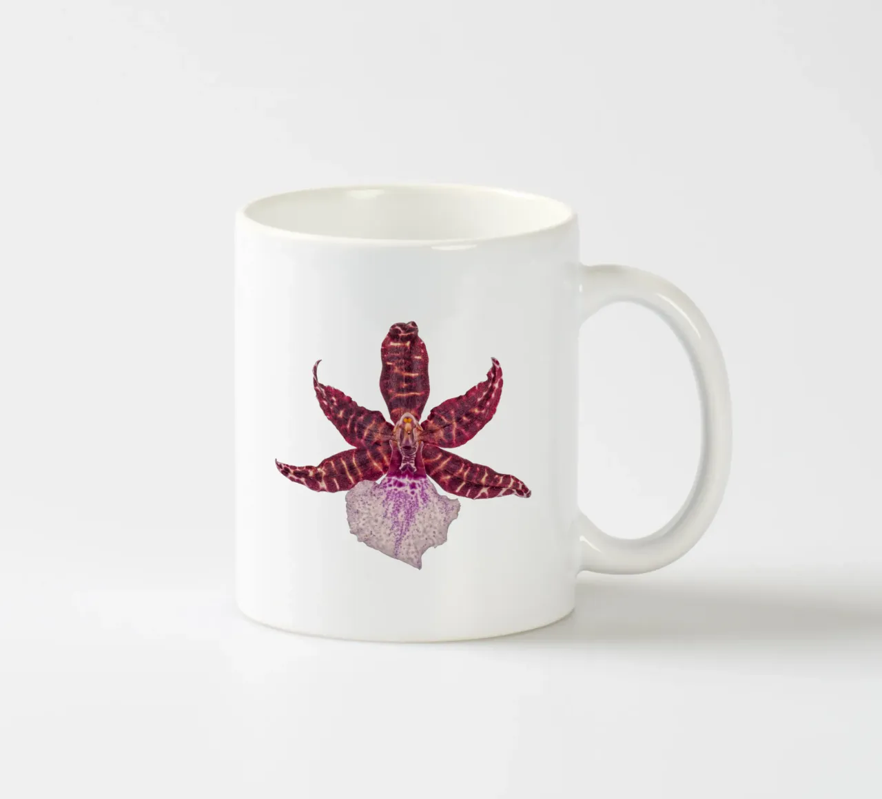 Bellezza squisita: Orchidea rossa tazza in ceramica da Curious Collections by Marielle Leenders