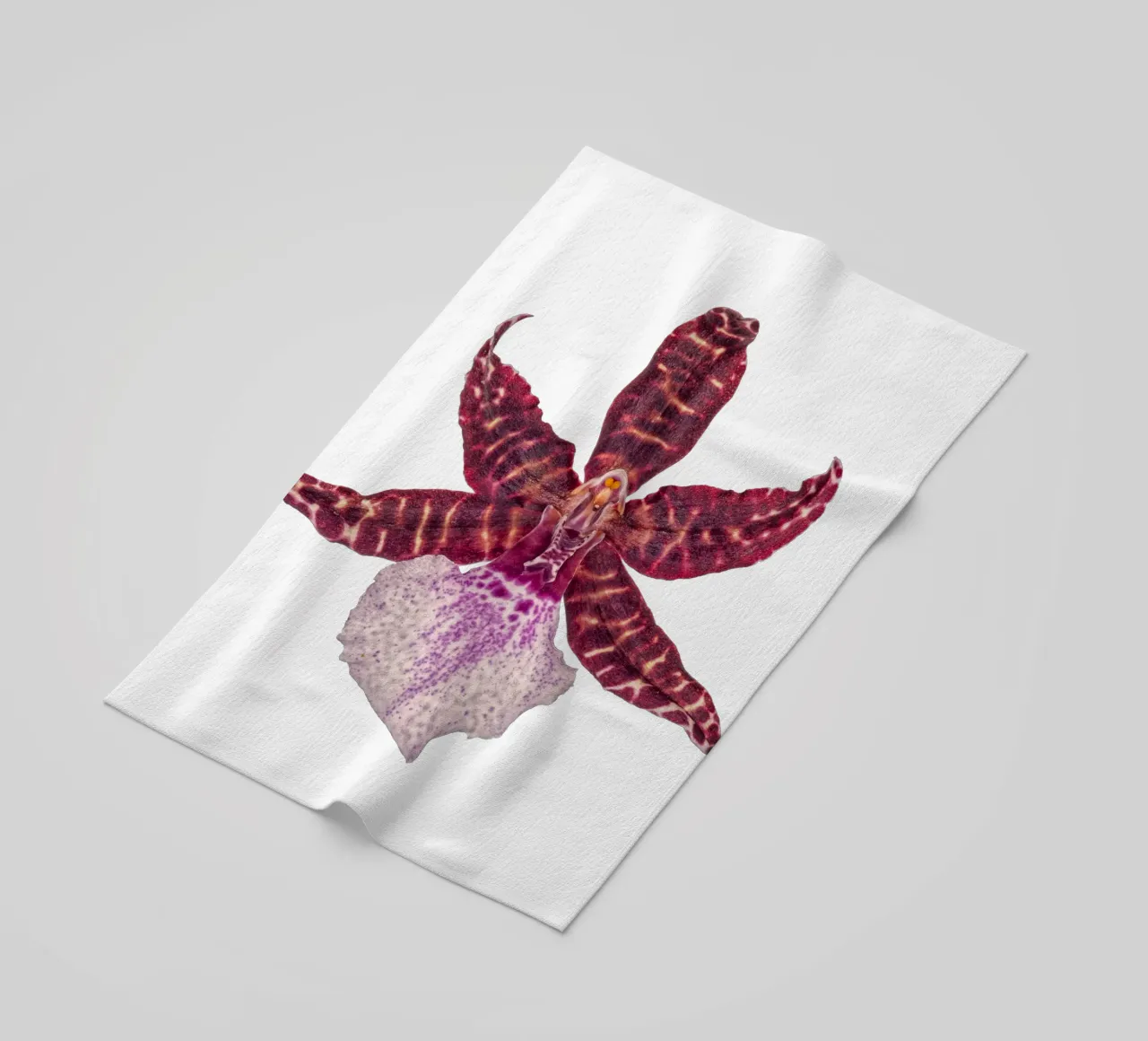 Bellezza squisita: Orchidea rossa telo mare da Curious Collections by Marielle Leenders