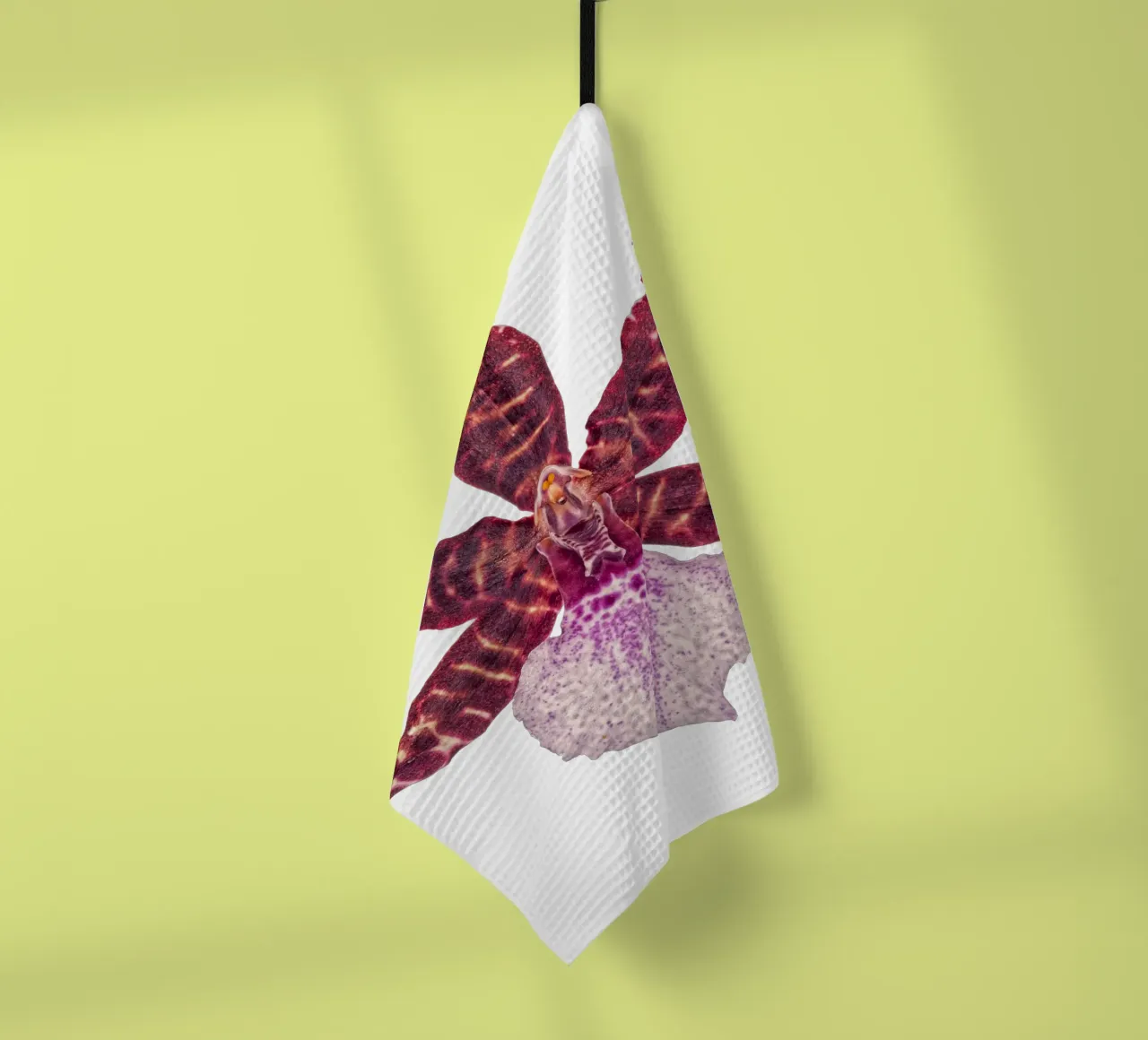 Bellezza squisita: Orchidea rossa canovaccio da cucina da Curious Collections by Marielle Leenders
