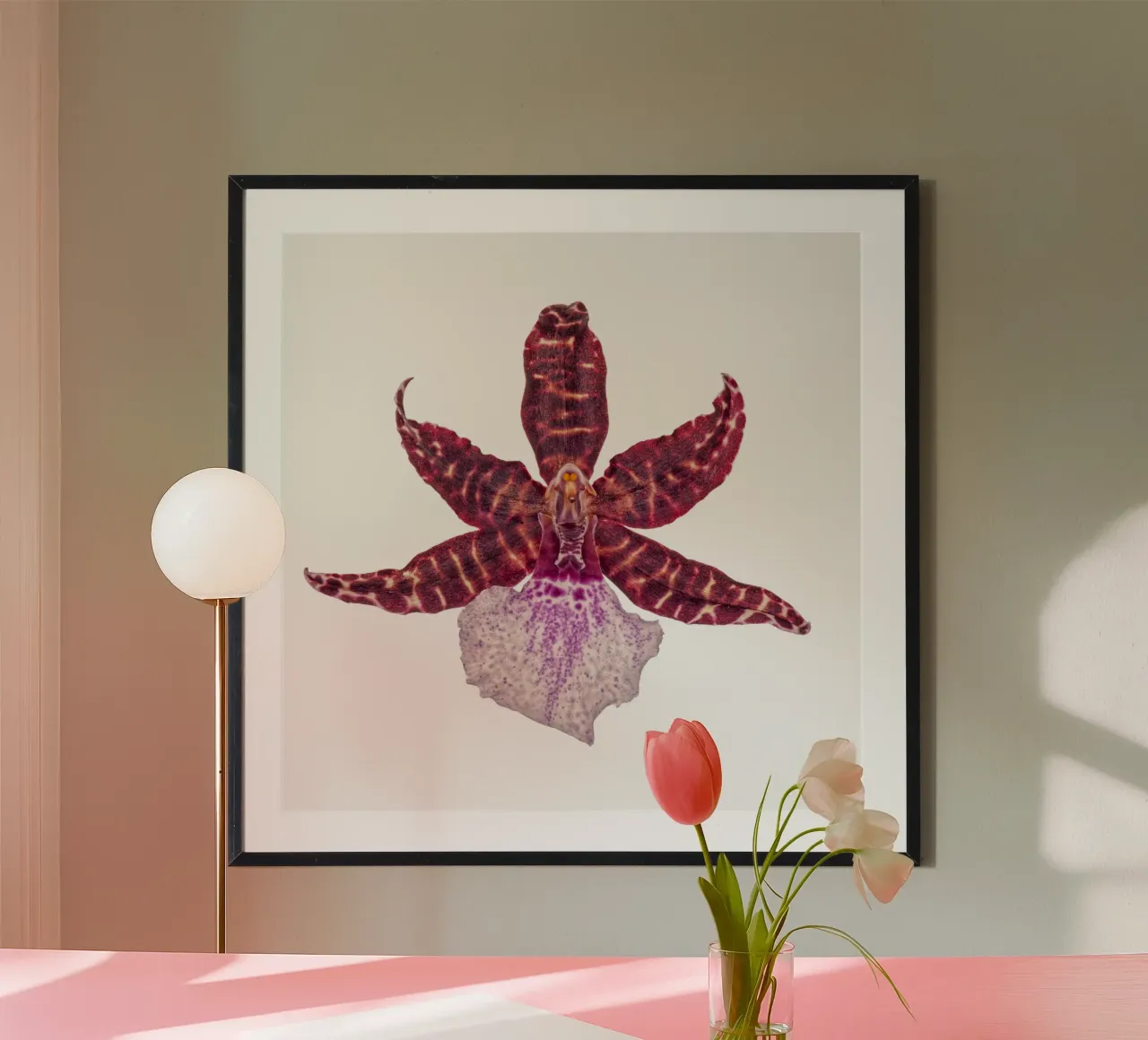 Bellezza squisita: Orchidea rossa poster con telaio in alluminio da Curious Collections by Marielle Leenders