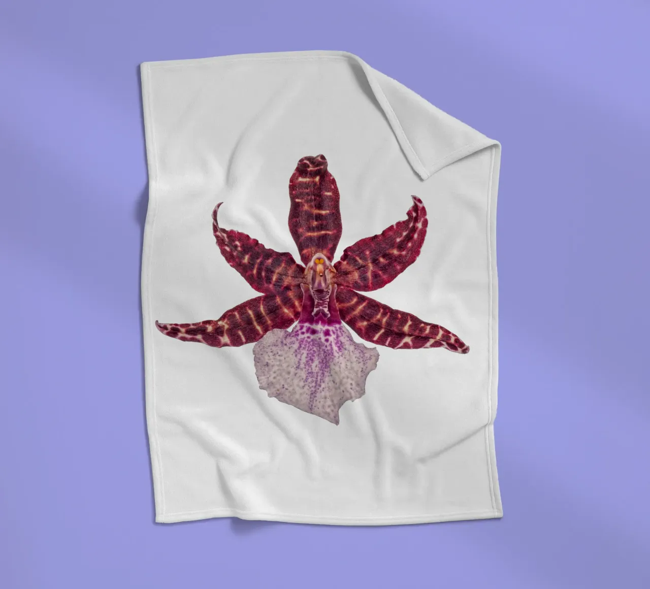 Bellezza squisita: Orchidea rossa coperta in pile da Curious Collections by Marielle Leenders