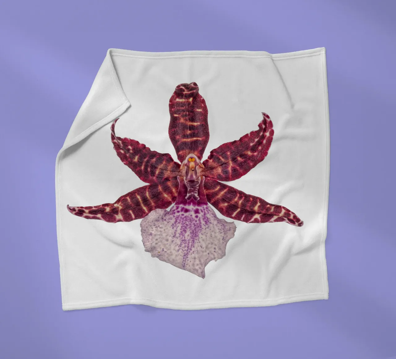 Bellezza squisita: Orchidea rossa coperta in pile da Curious Collections by Marielle Leenders