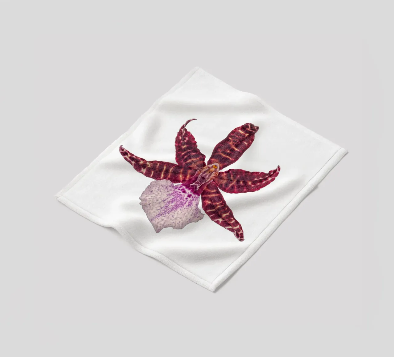 Bellezza squisita: Orchidea rossa coperta in pile da Curious Collections by Marielle Leenders