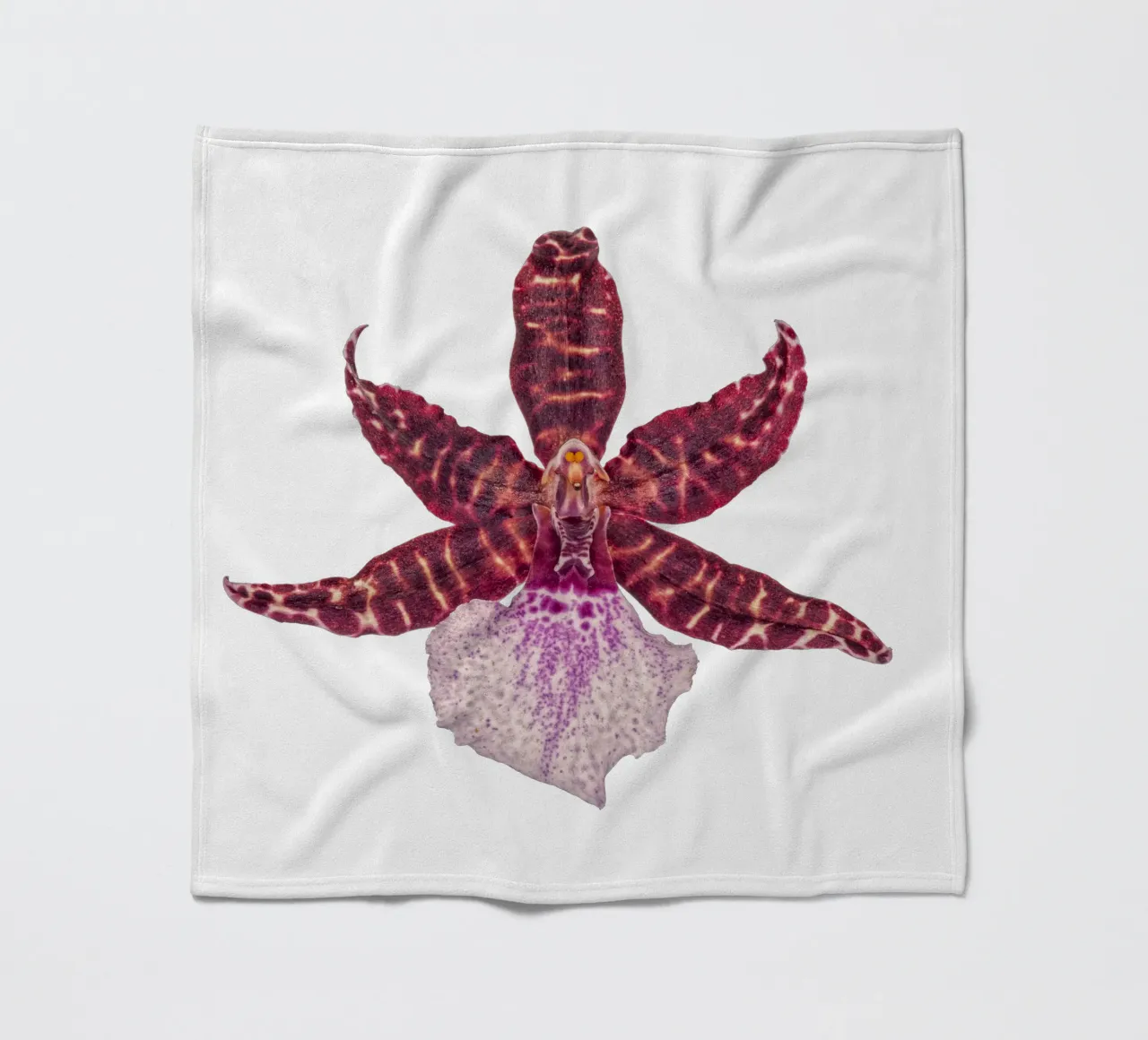 Bellezza squisita: Orchidea rossa coperta in pile da Curious Collections by Marielle Leenders