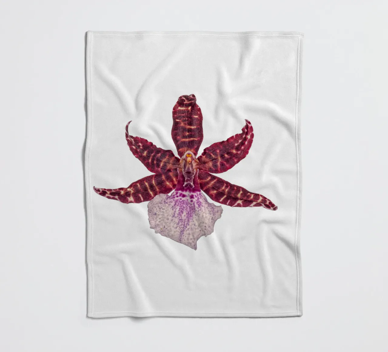 Bellezza squisita: Orchidea rossa coperta in pile da Curious Collections by Marielle Leenders