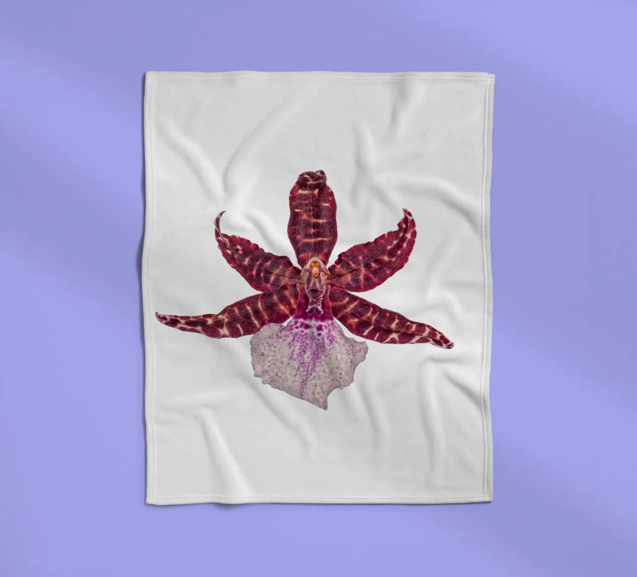 Bellezza squisita: Orchidea rossa coperta in pile da Curious Collections by Marielle Leenders