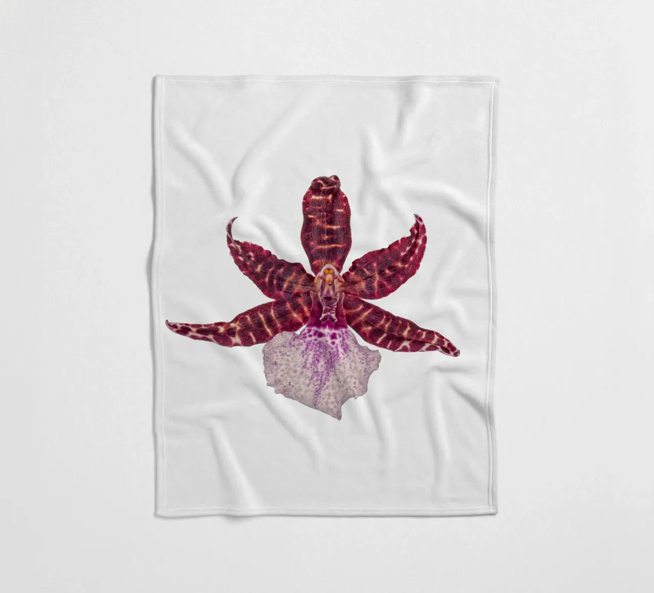 Bellezza squisita: Orchidea rossa coperta in pile da Curious Collections by Marielle Leenders