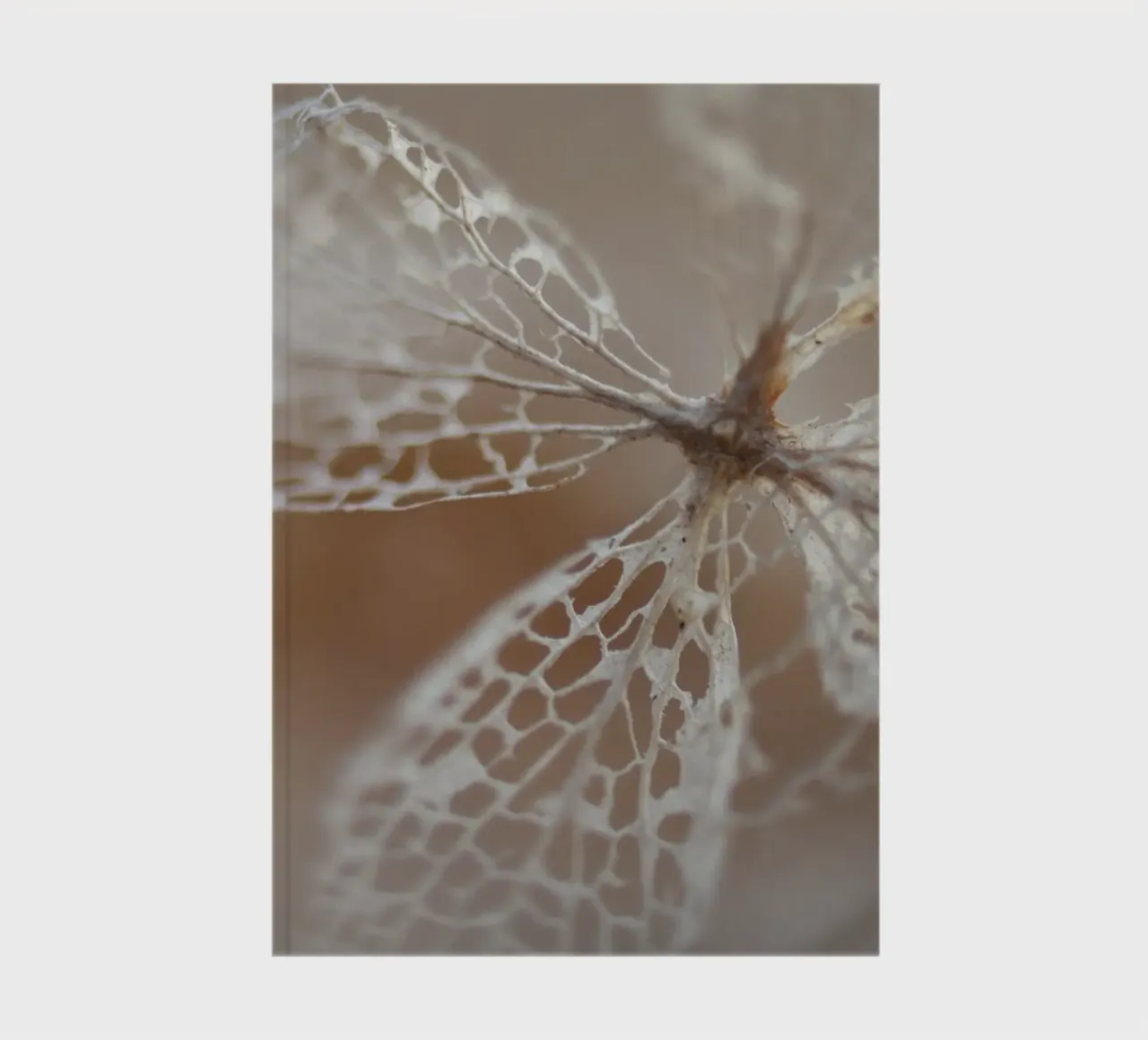 Makrophotographie notebook by Moritz Bruns