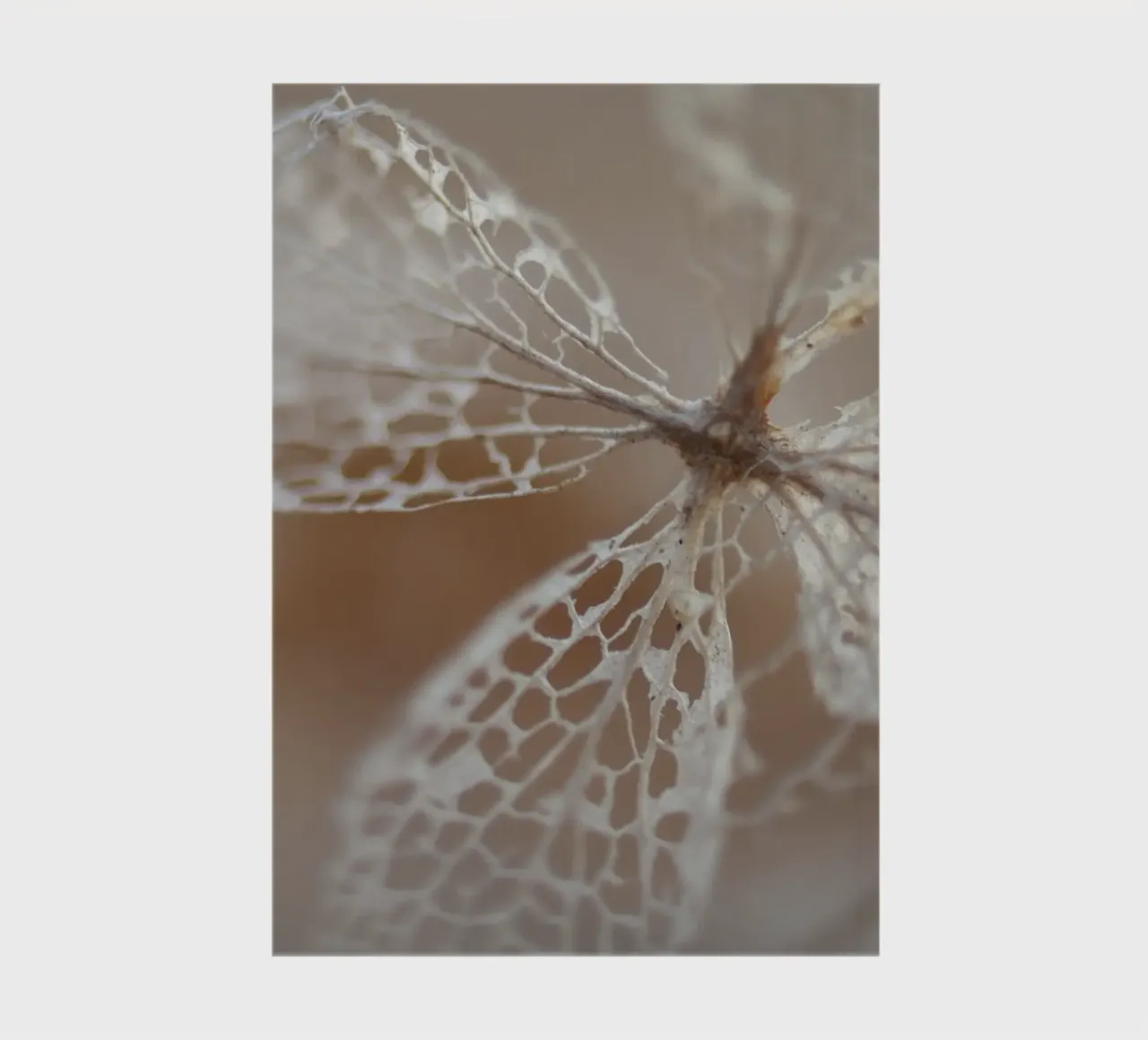 Makrophotographie notebook by Moritz Bruns