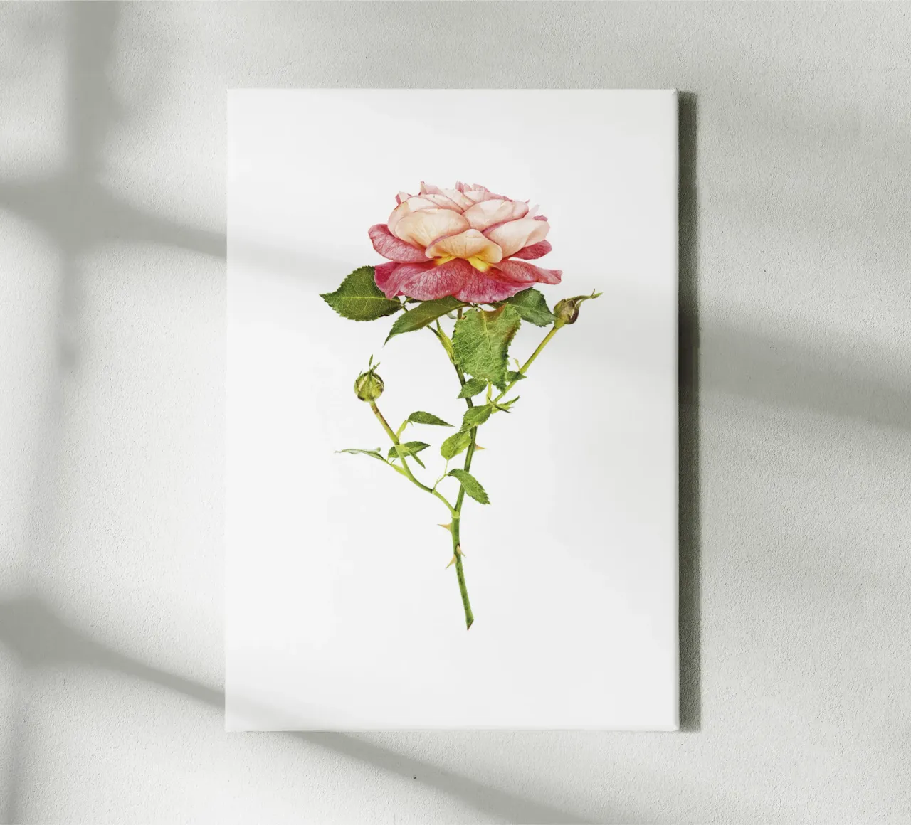 Fusione elegante: rosa arancio-rosa tela con Cornice a cassetta da Curious Collections by Marielle Leenders