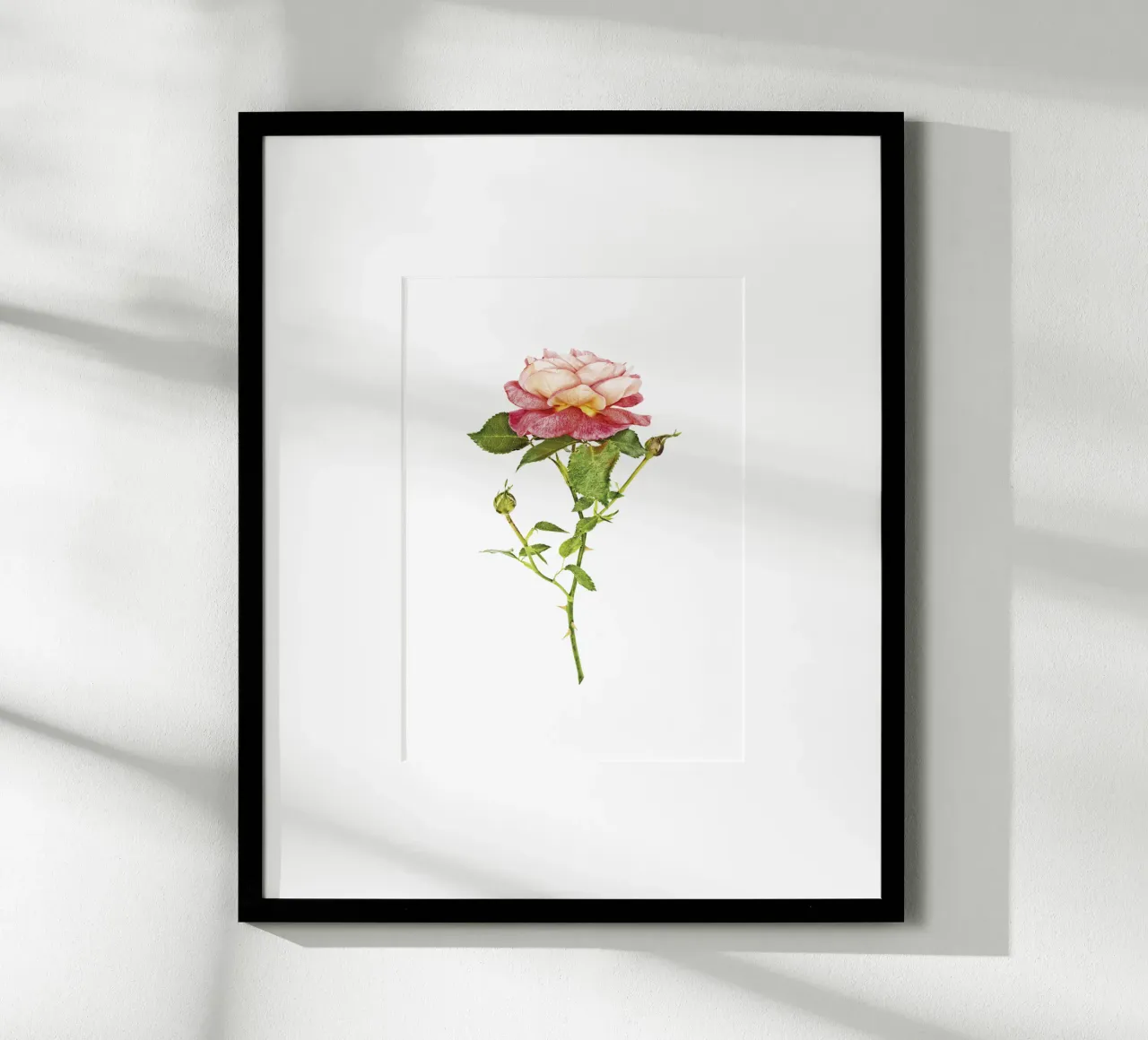 Fusione elegante: rosa arancio-rosa carta hahnemühle da Curious Collections by Marielle Leenders