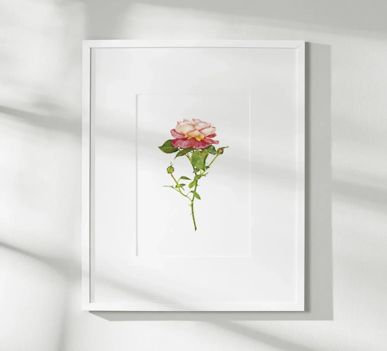 Fusione elegante: rosa arancio-rosa carta hahnemühle da Curious Collections by Marielle Leenders