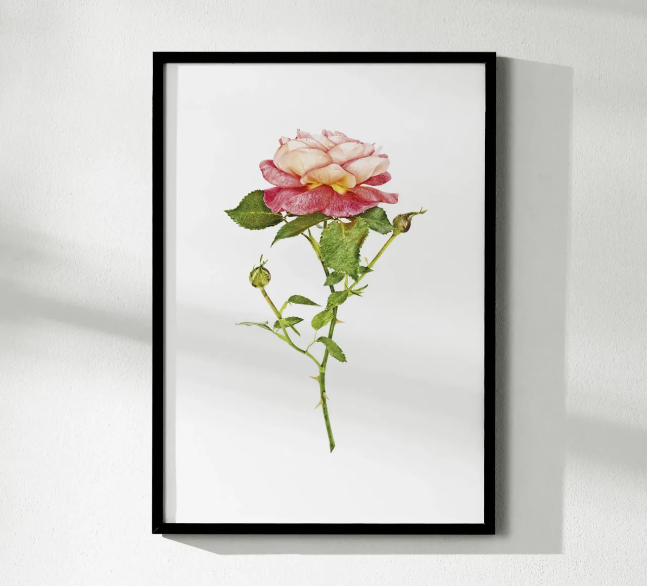 Fusione elegante: rosa arancio-rosa carta hahnemühle da Curious Collections by Marielle Leenders
