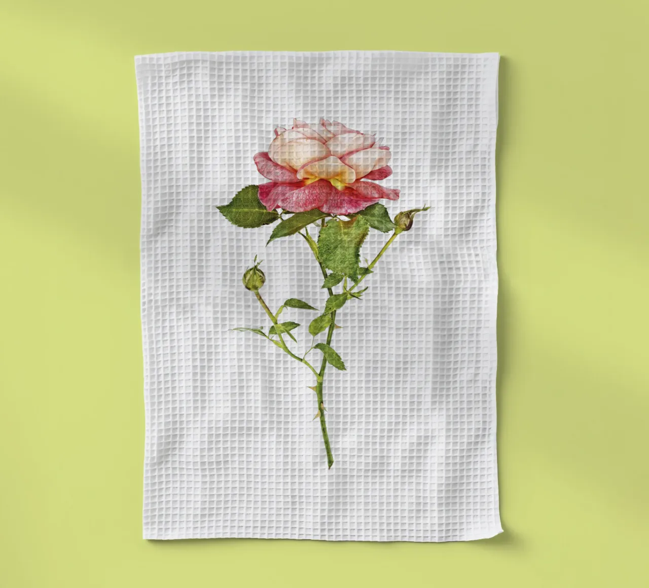 Fusione elegante: rosa arancio-rosa canovaccio da cucina da Curious Collections by Marielle Leenders
