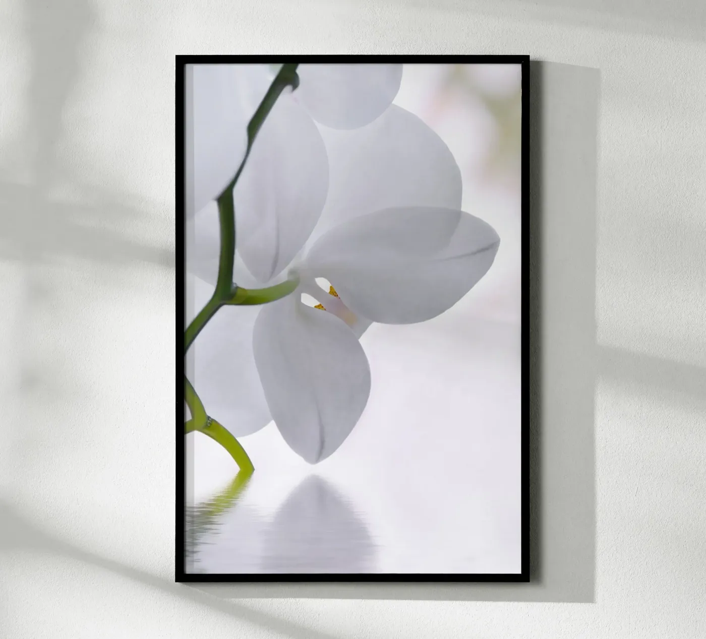Orchidee Poster von Atteloi