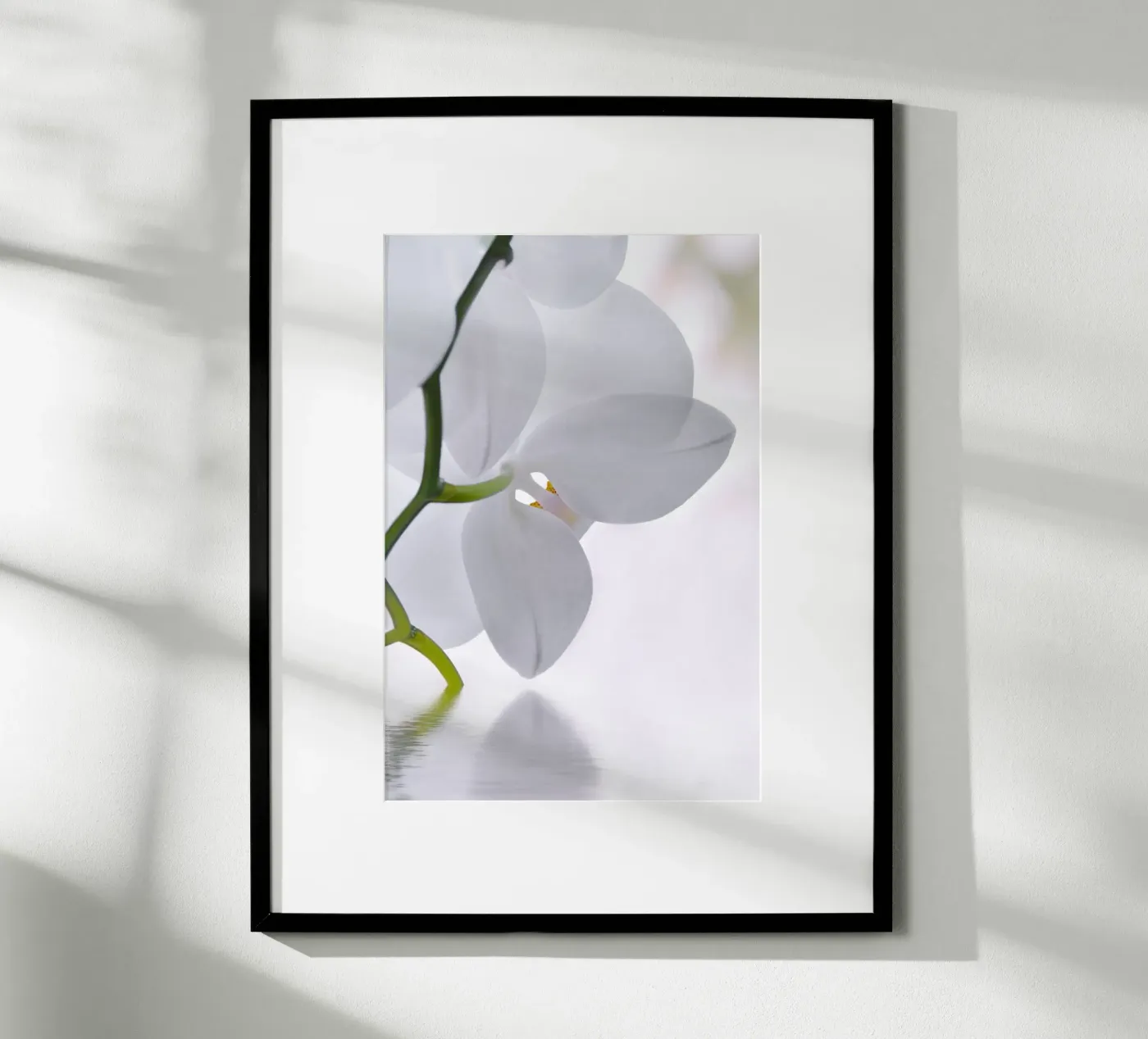 Orchidee Poster von Atteloi