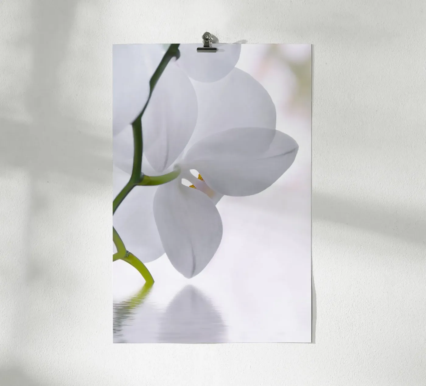 Orchidee Poster von Atteloi