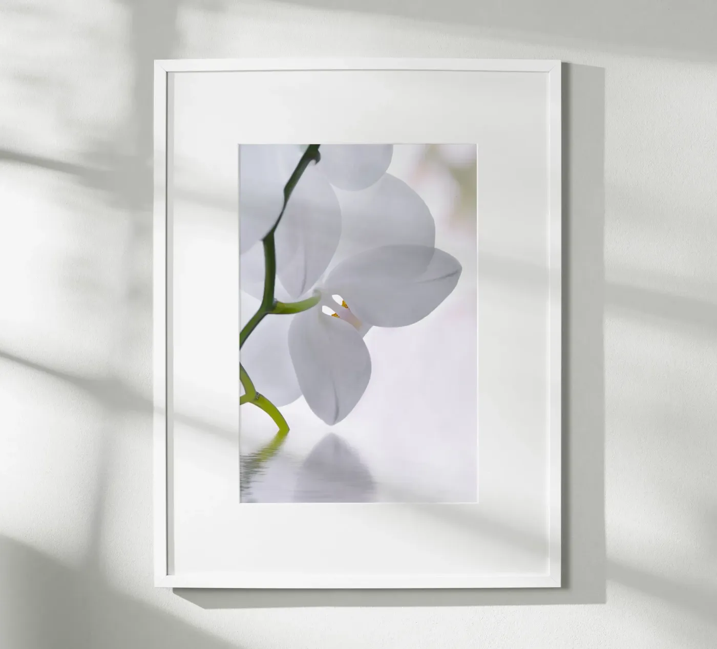 Orchidee Poster von Atteloi