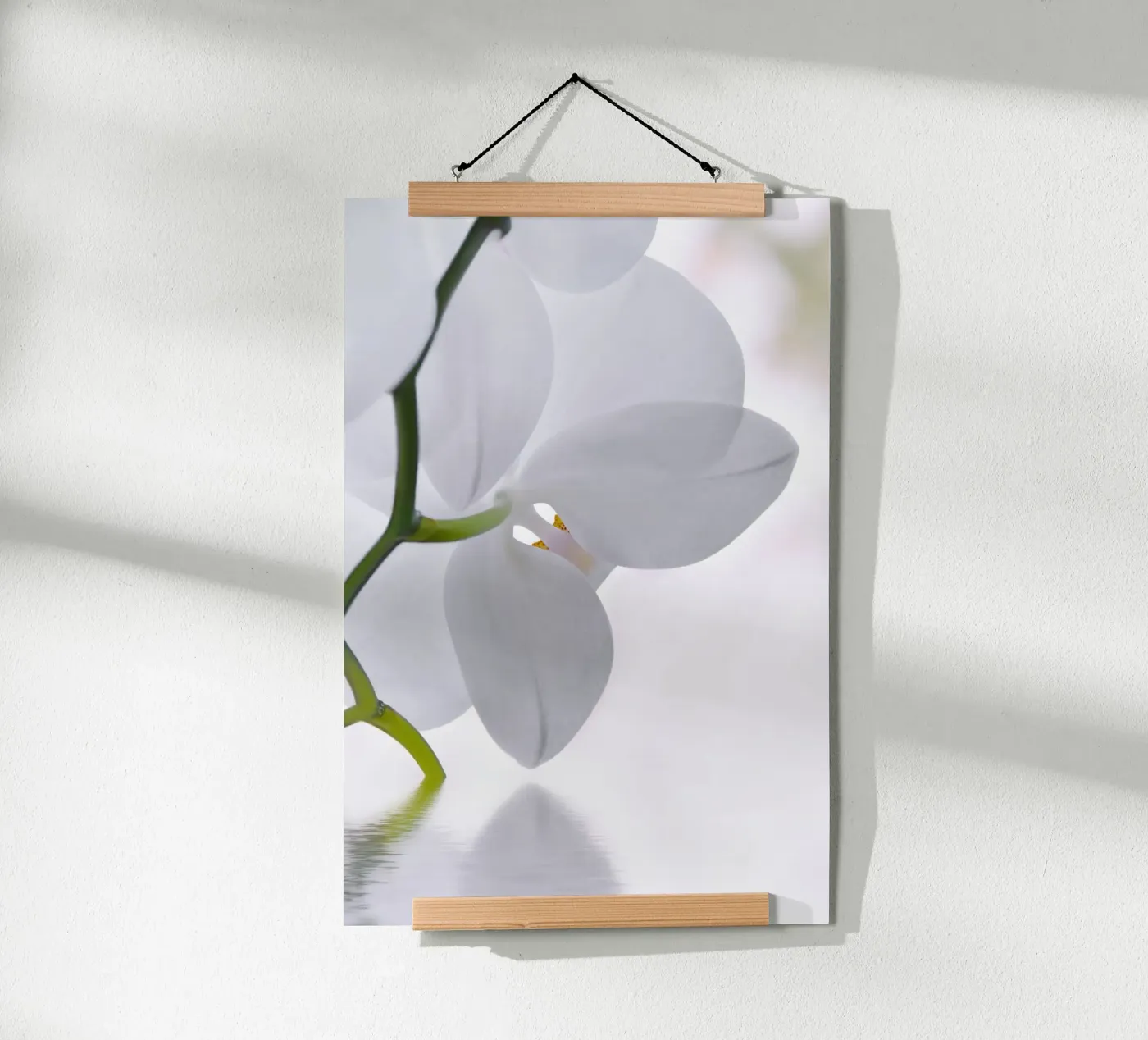 Orchidee Poster von Atteloi