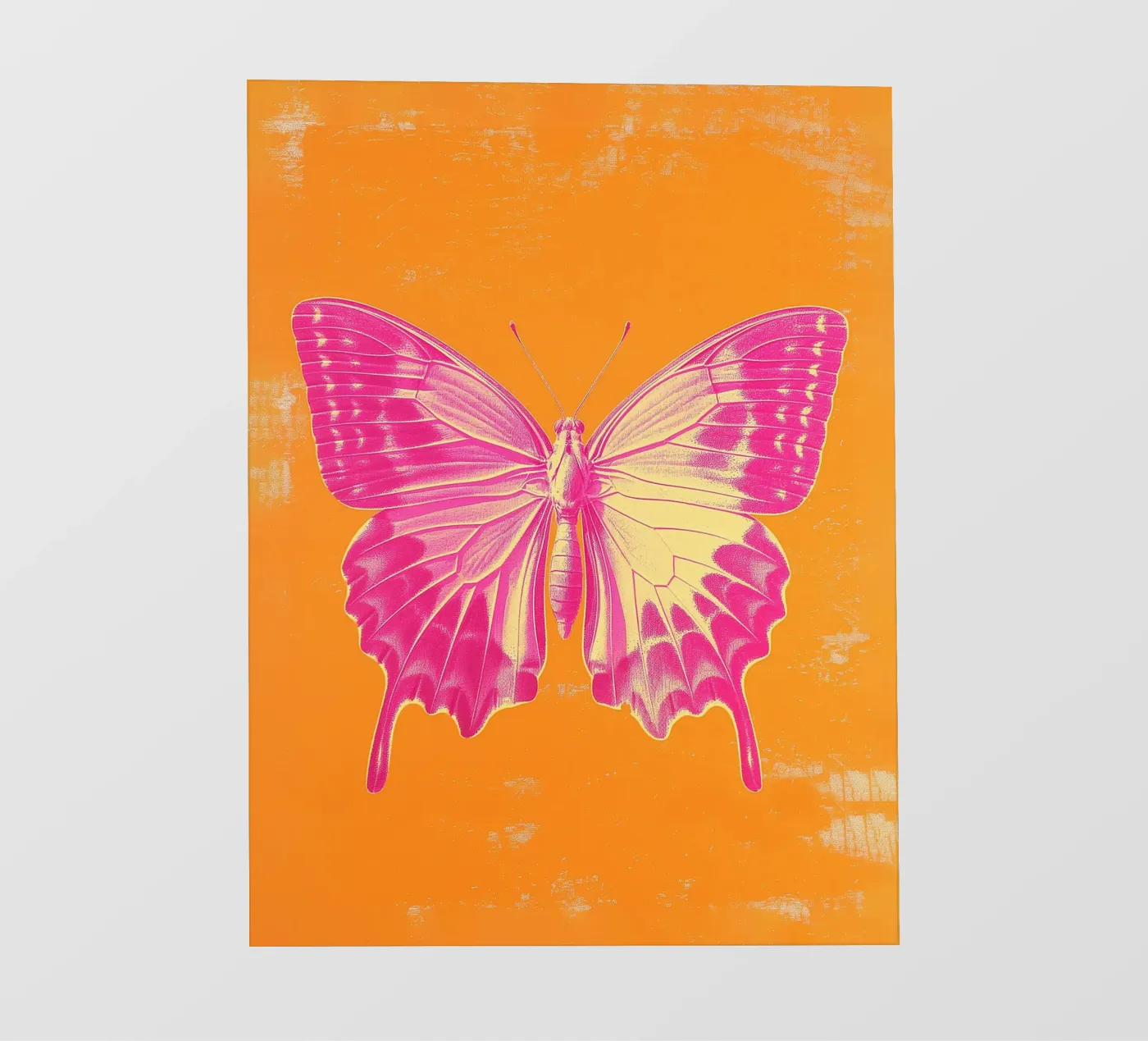 Farfalla rosa pellicola backlit da Malou-Studio