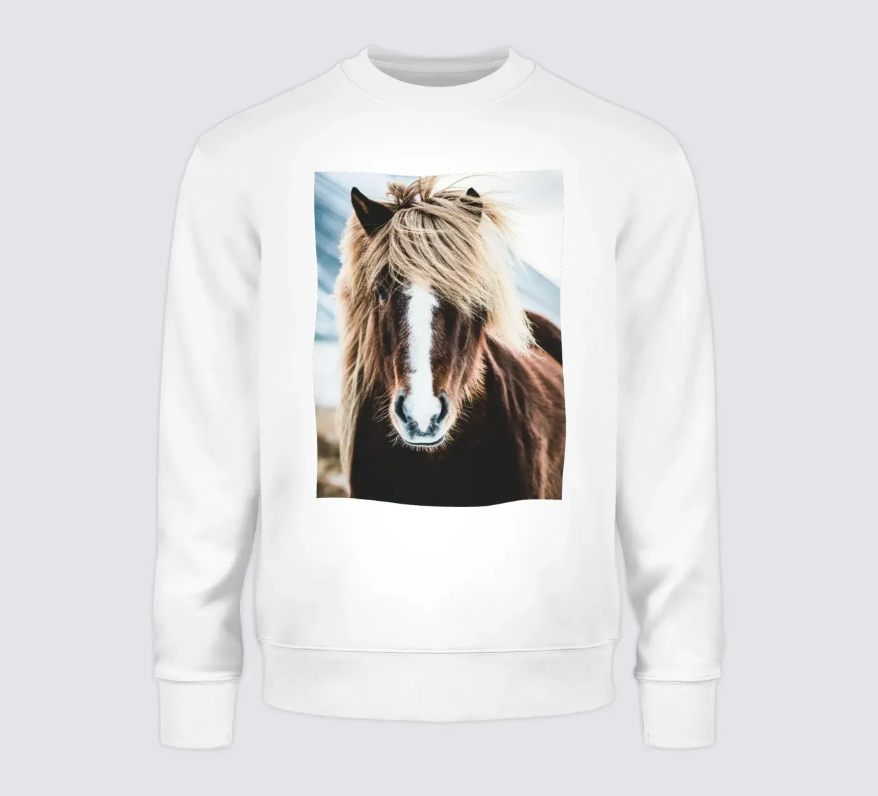 Icelandic horse in winter - pure nature sweatshirt by Whole©