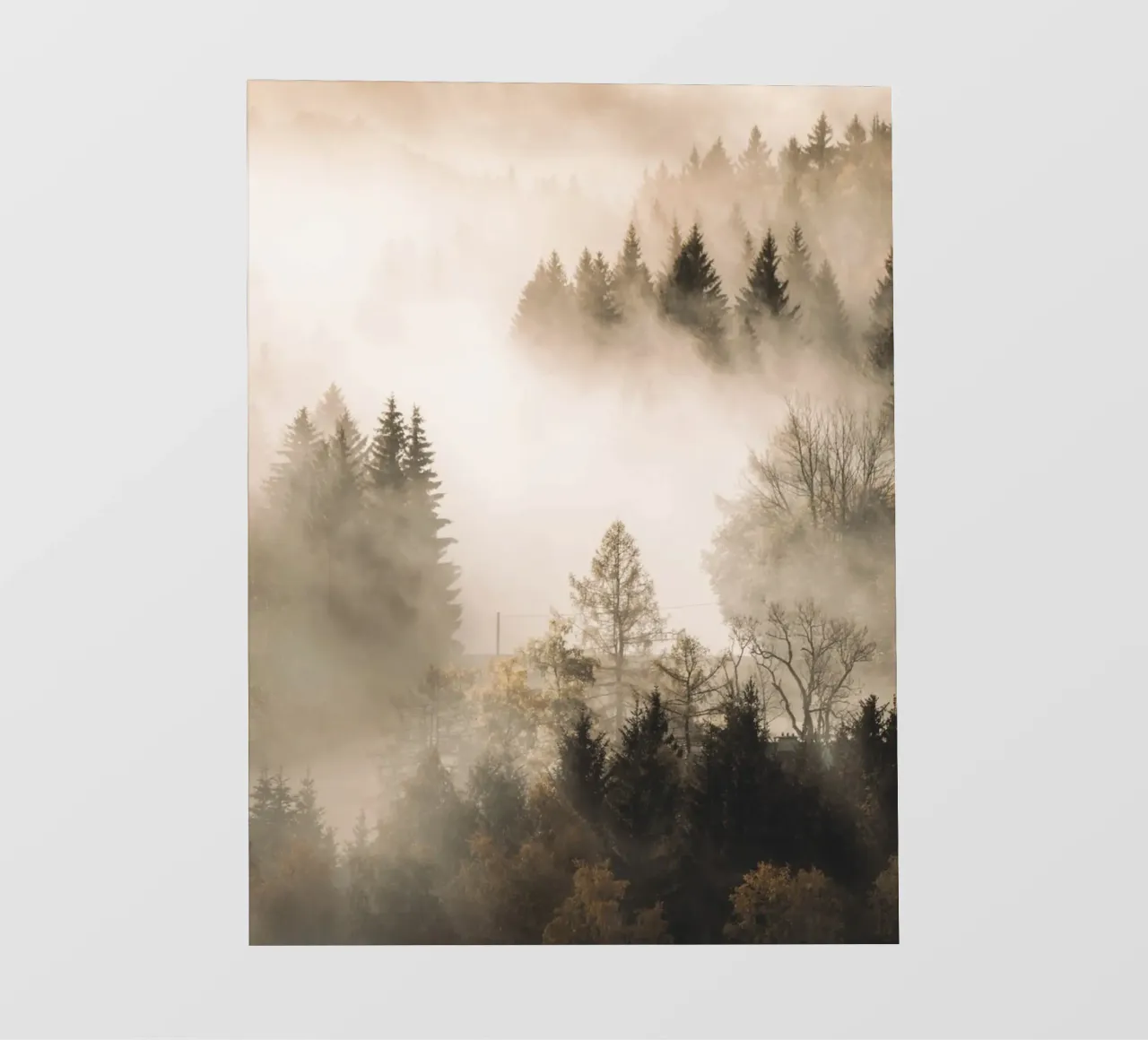 Foresta di nuvole in autunno - Atmosfera mistica della foresta telo in pvc da Whole©