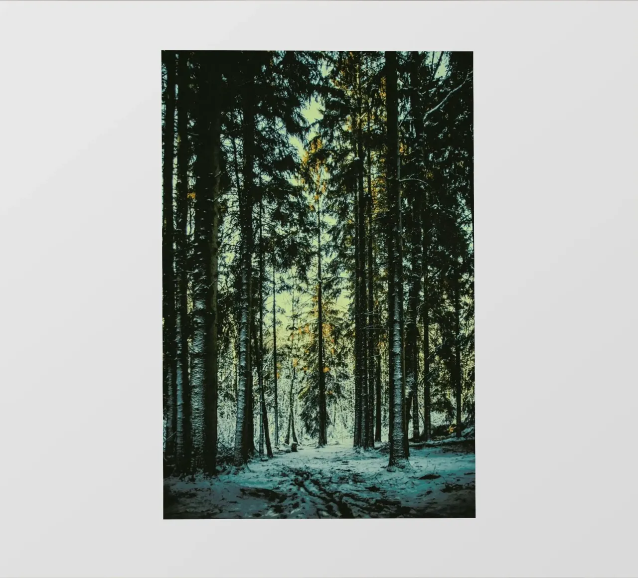 The Pin pvc cover by Pale Grain