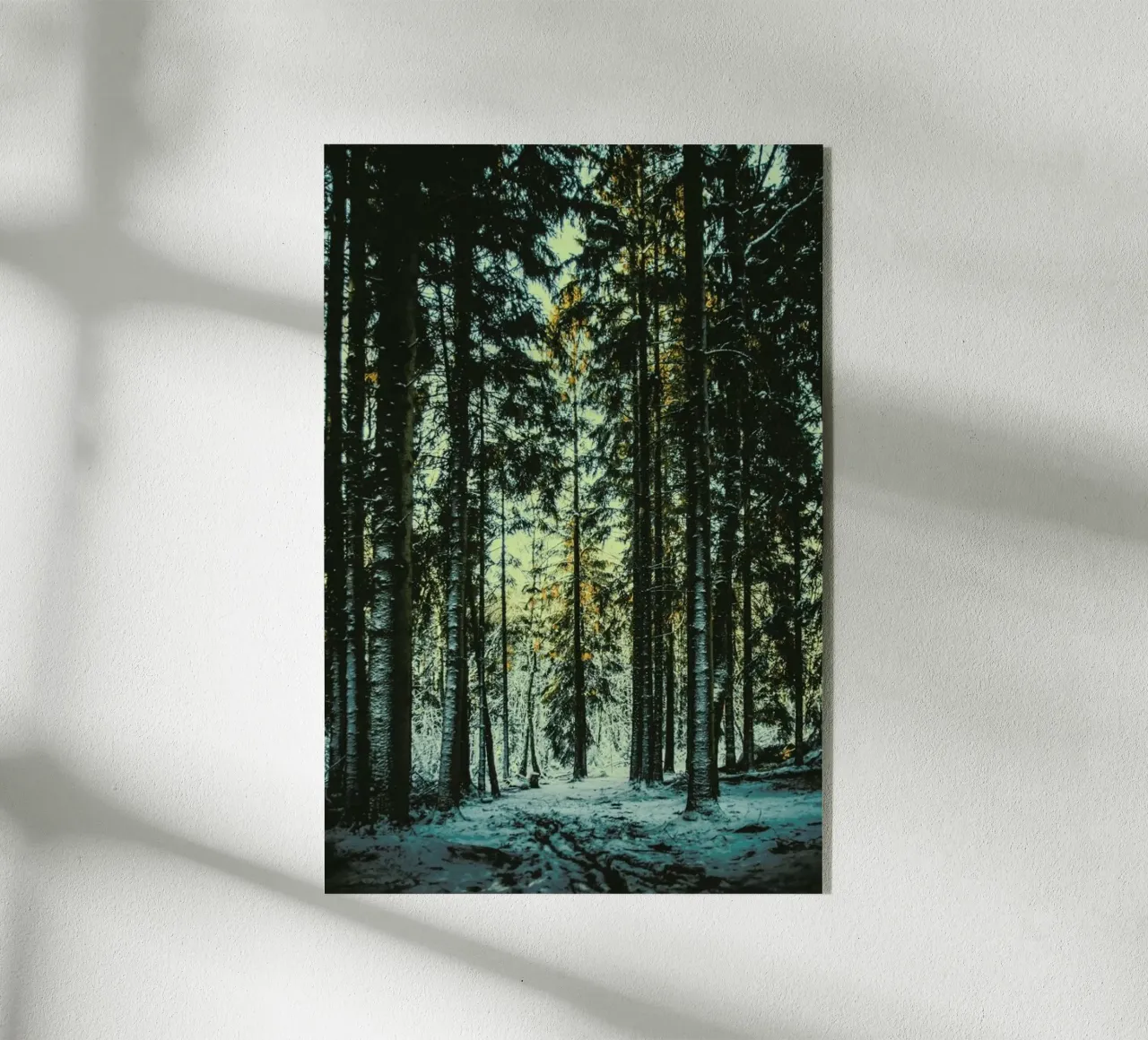 The Pin plexiglass da Pale Grain