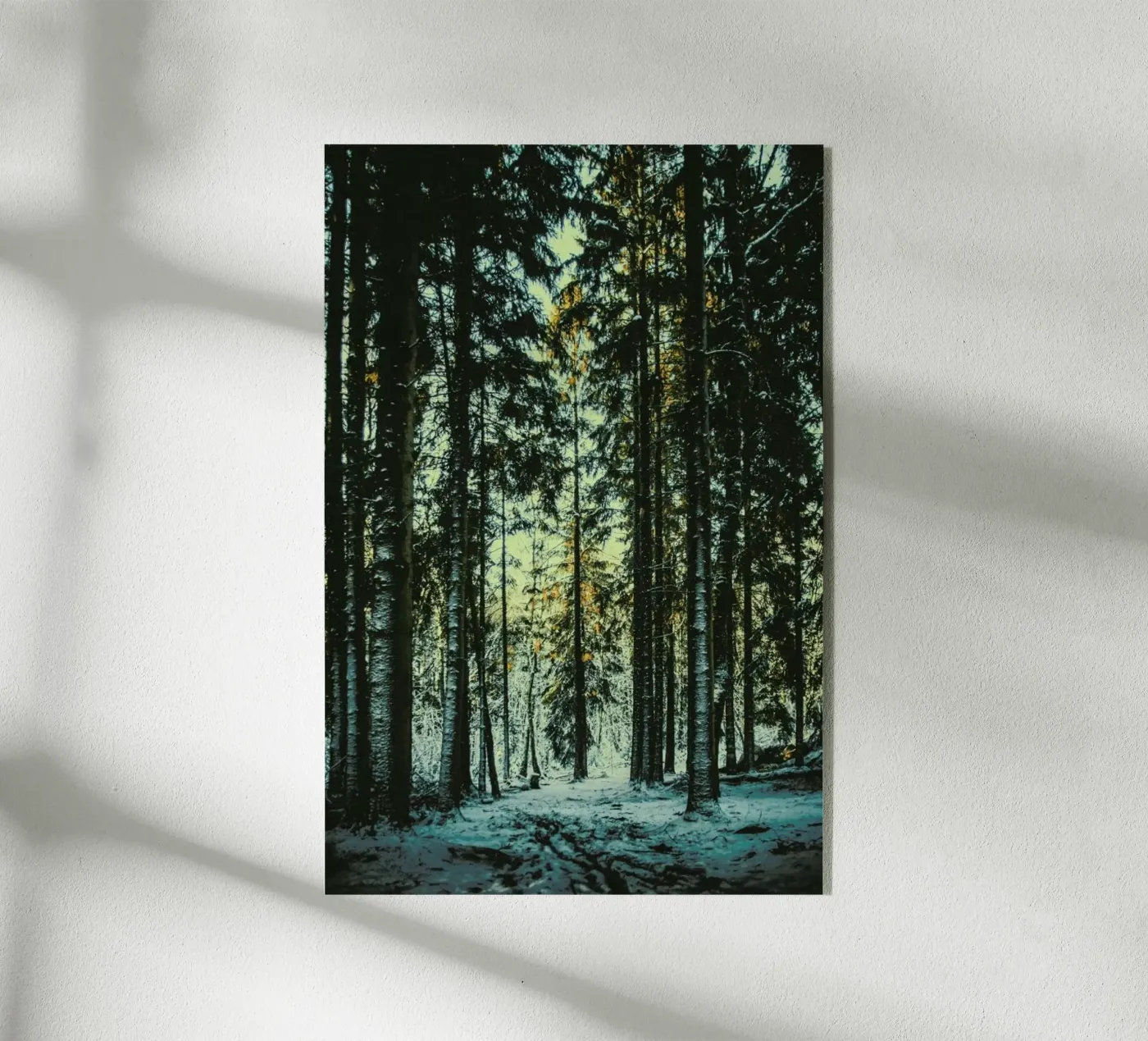 The Pin plexiglass da Pale Grain