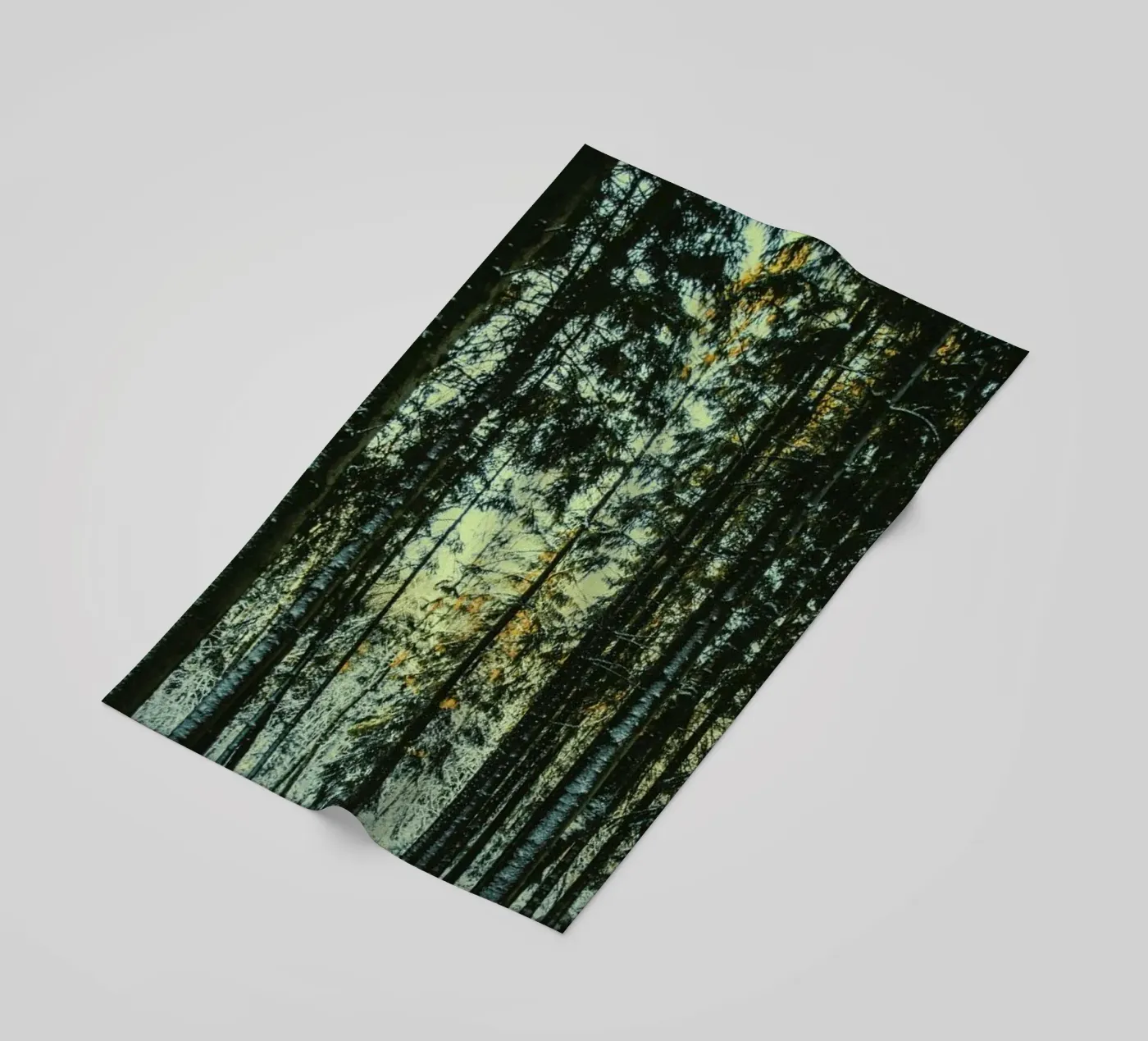 The Pin telo mare da Pale Grain