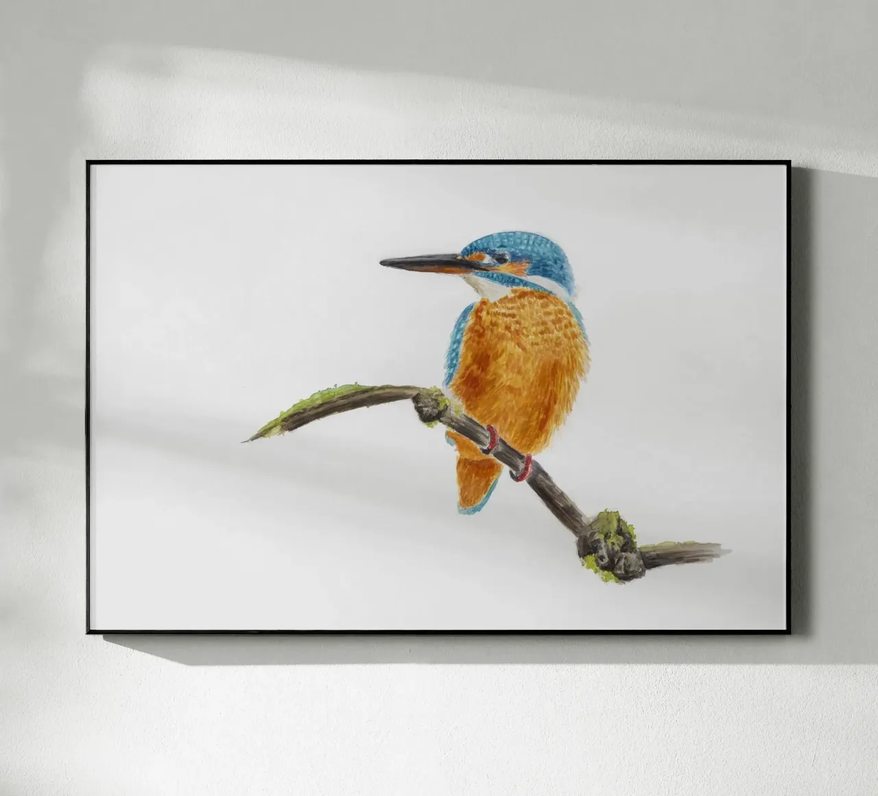 Eisvogel plexiglass da Barbara Buderath Illustrationen