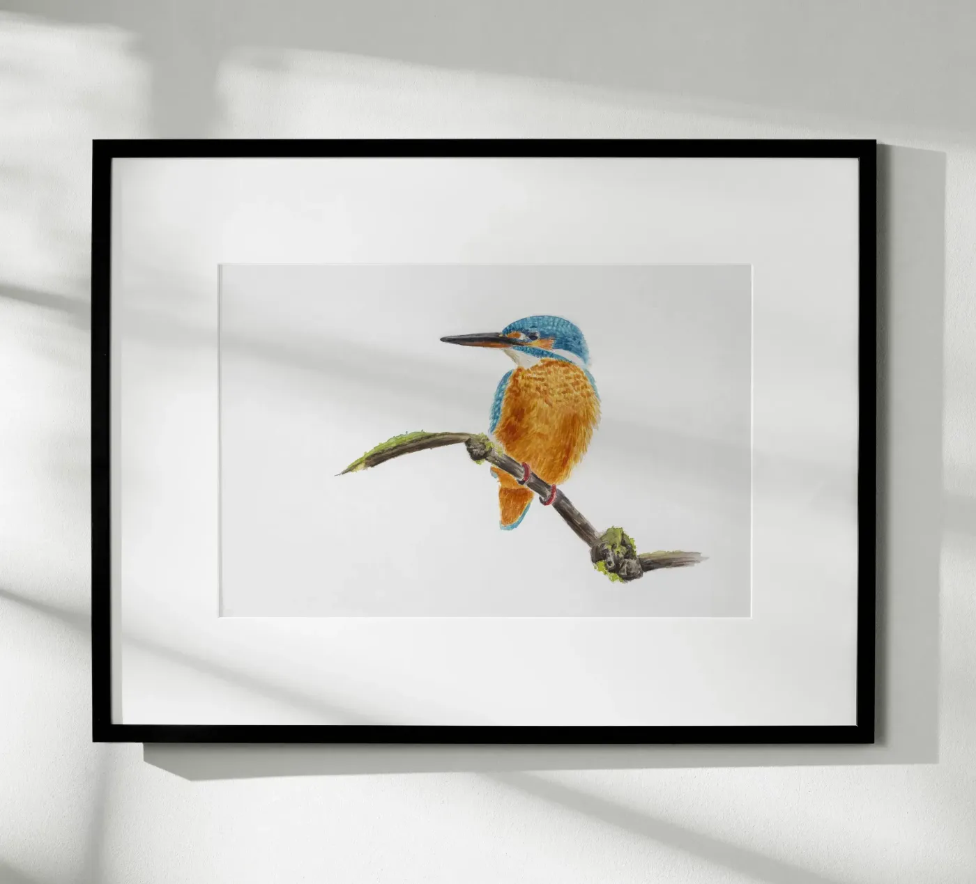 Eisvogel poster van Barbara Buderath Illustrationen